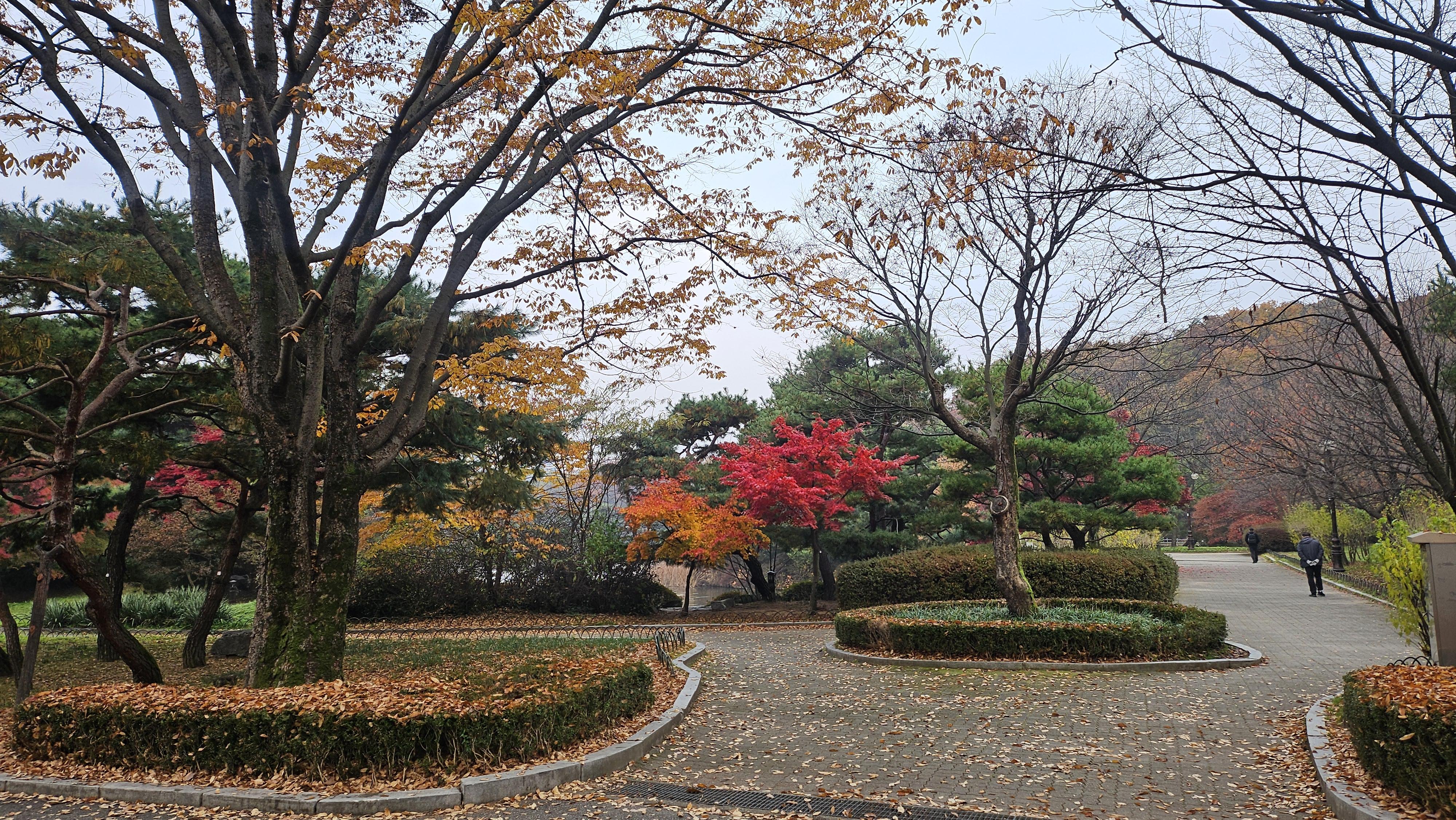 수내동 실거주자 사진 3