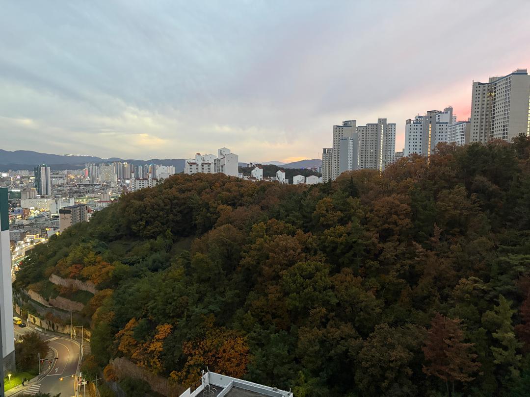 용흥동 실거주자 사진 4