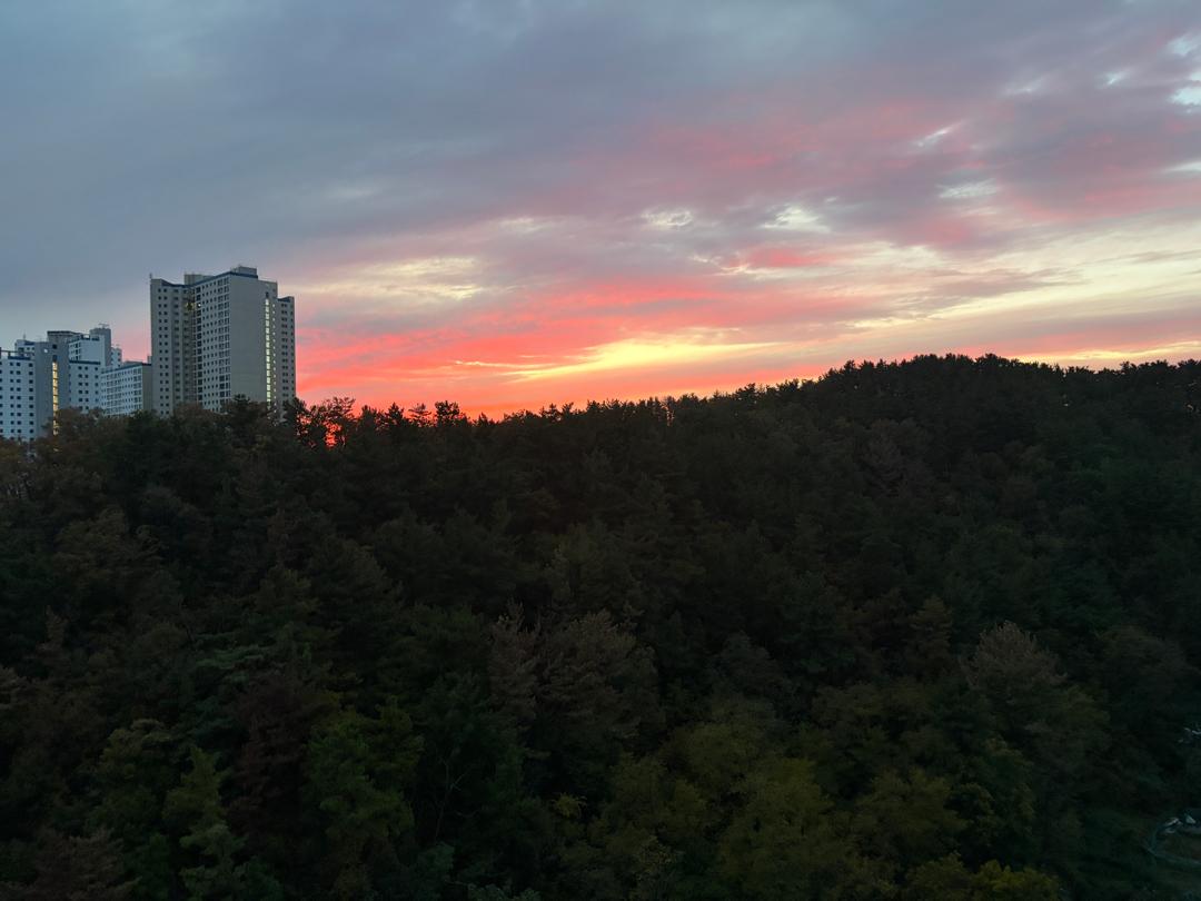 용흥동 실거주자 사진 5