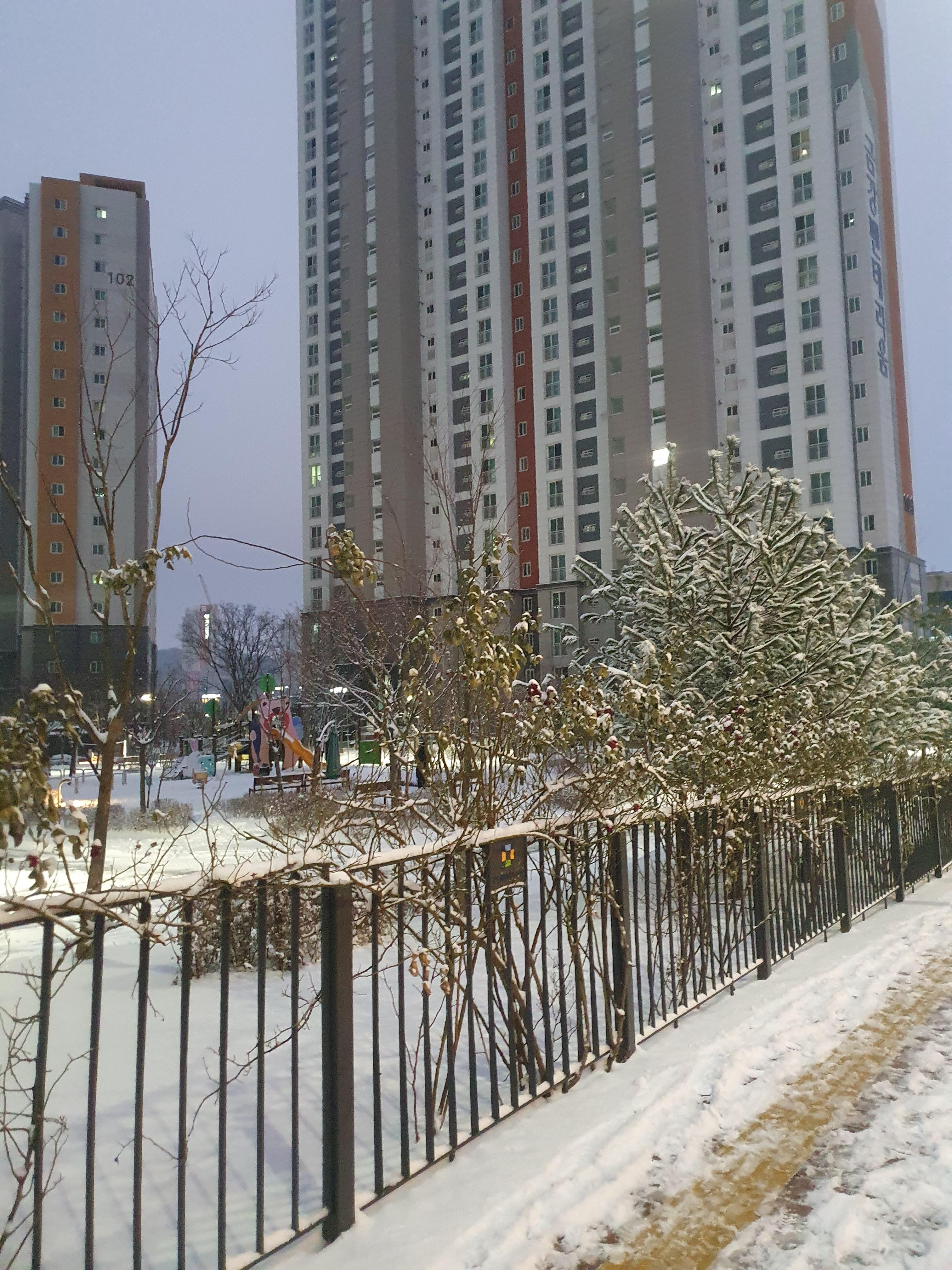 도마교동 실거주자 사진 1