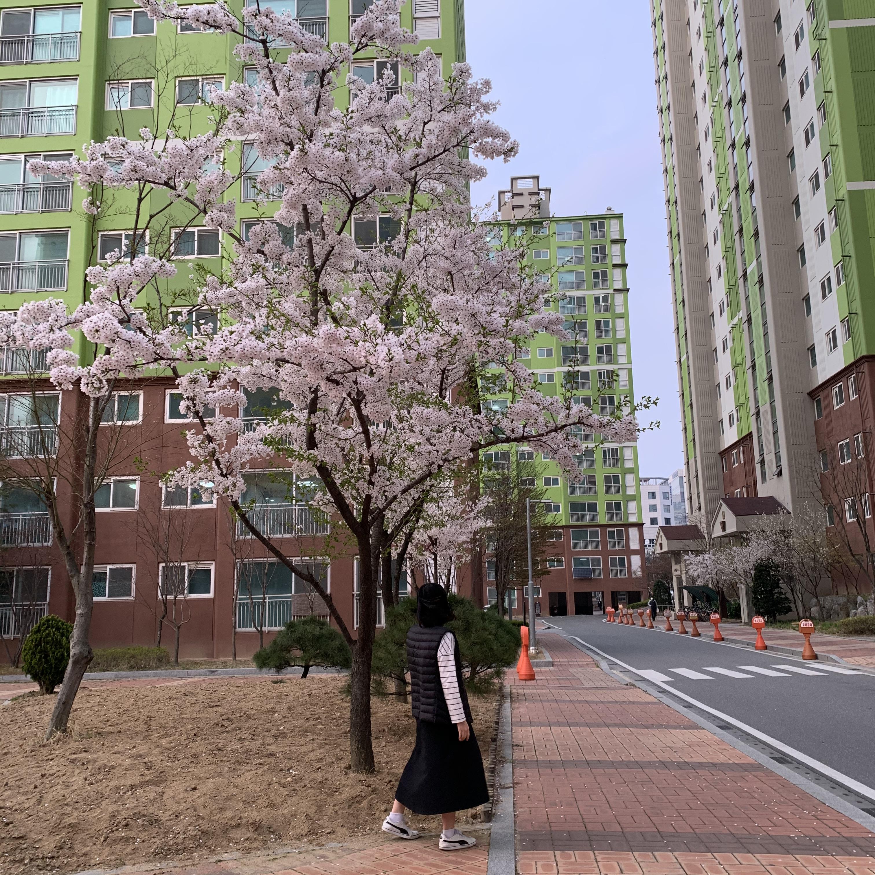무실동 실거주자 사진 2