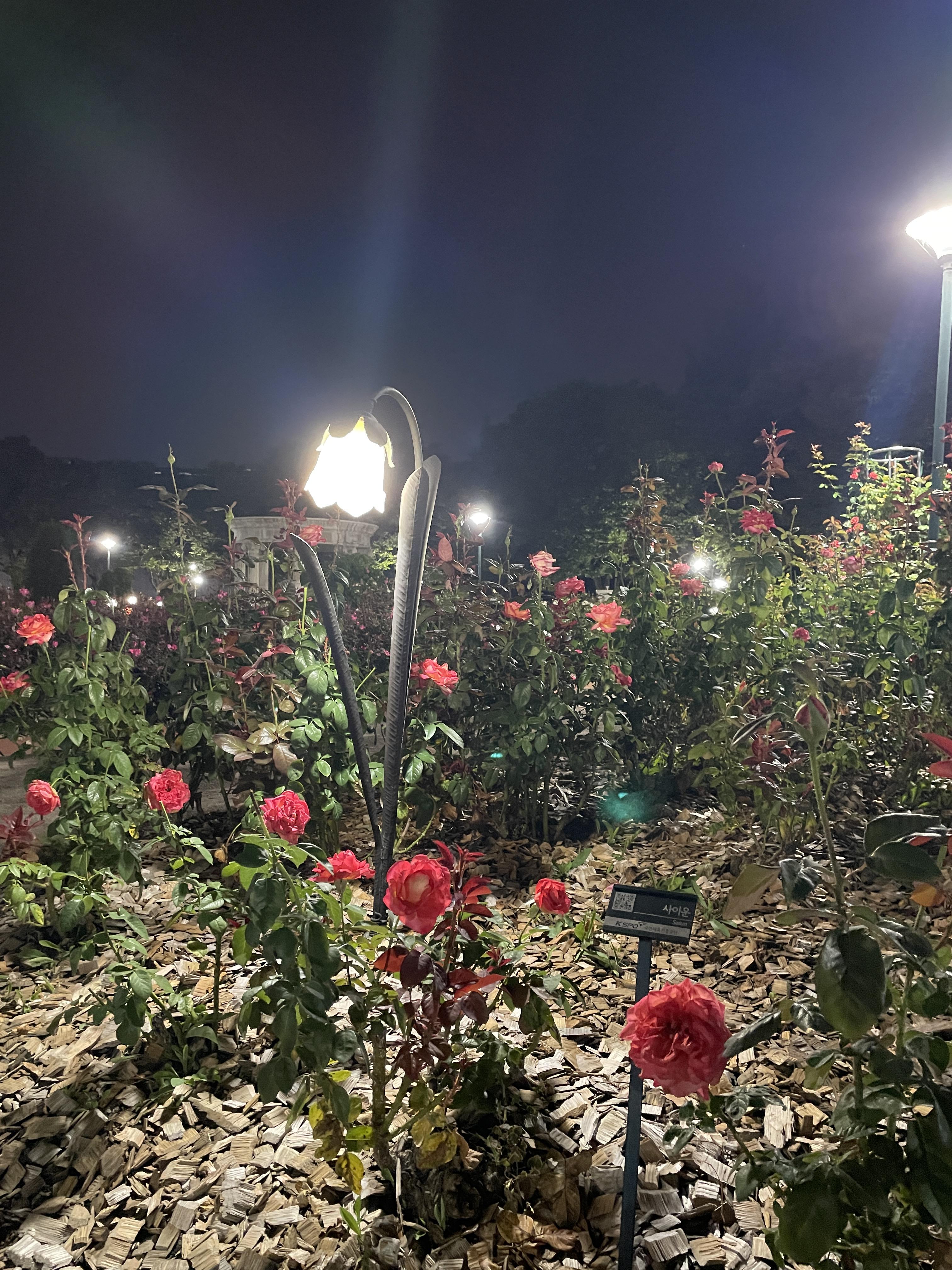 송파동 실거주자 사진 2
