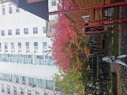 천호동 실거주자 사진 5