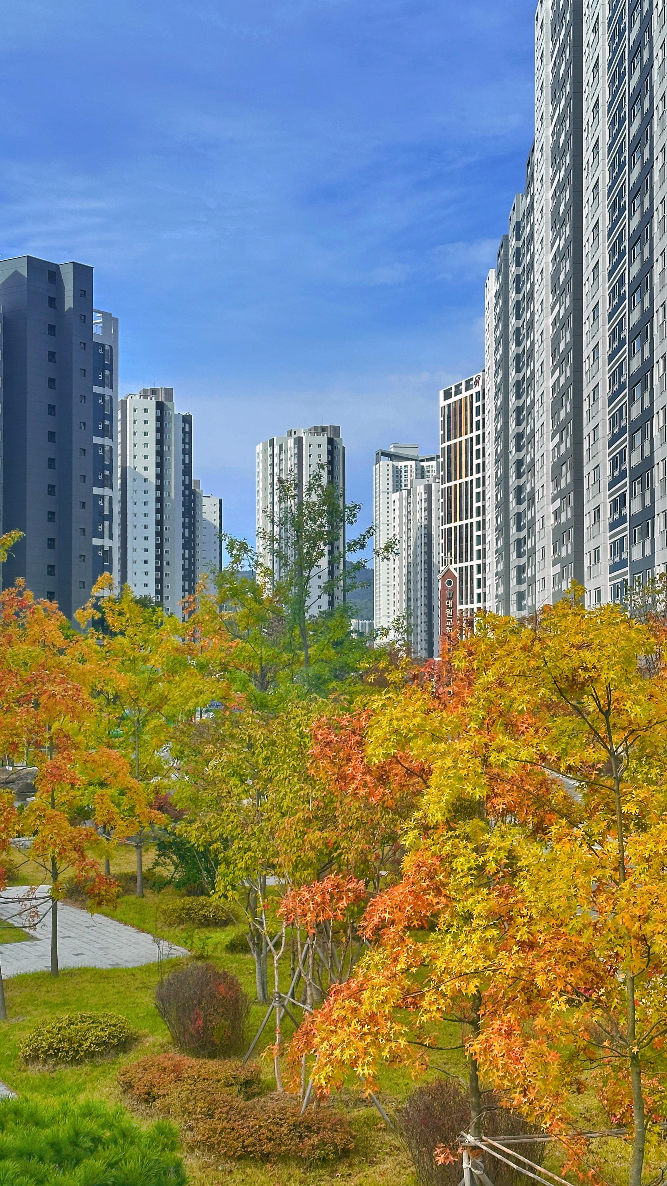 대원동 실거주자 사진 1