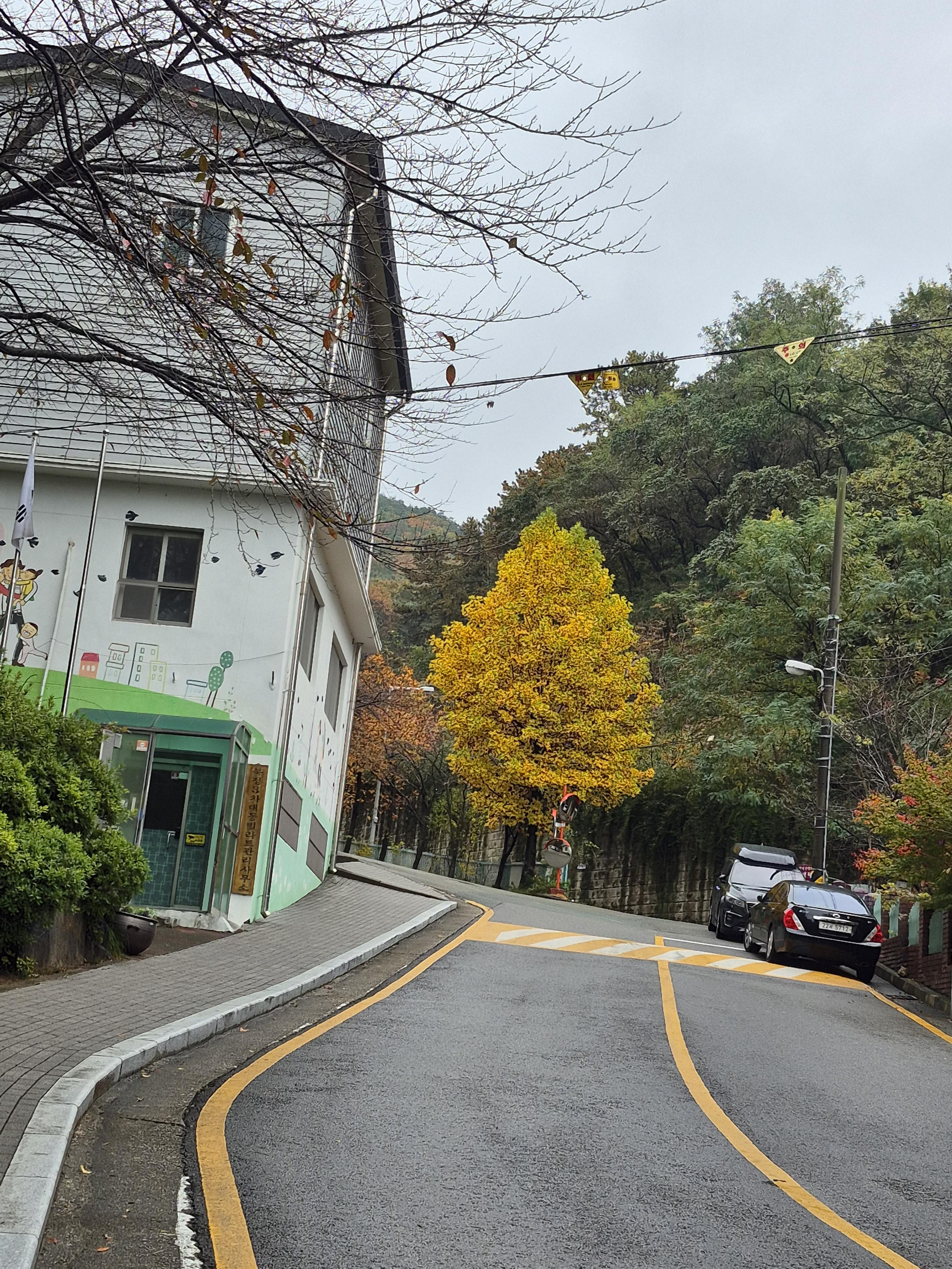 북정동 실거주자 사진 4
