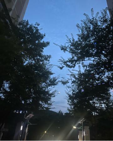 도원동 실거주자 사진 6