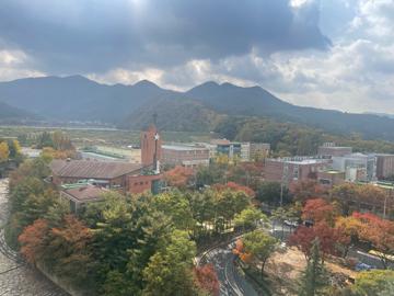 도원동 실거주자 사진 4