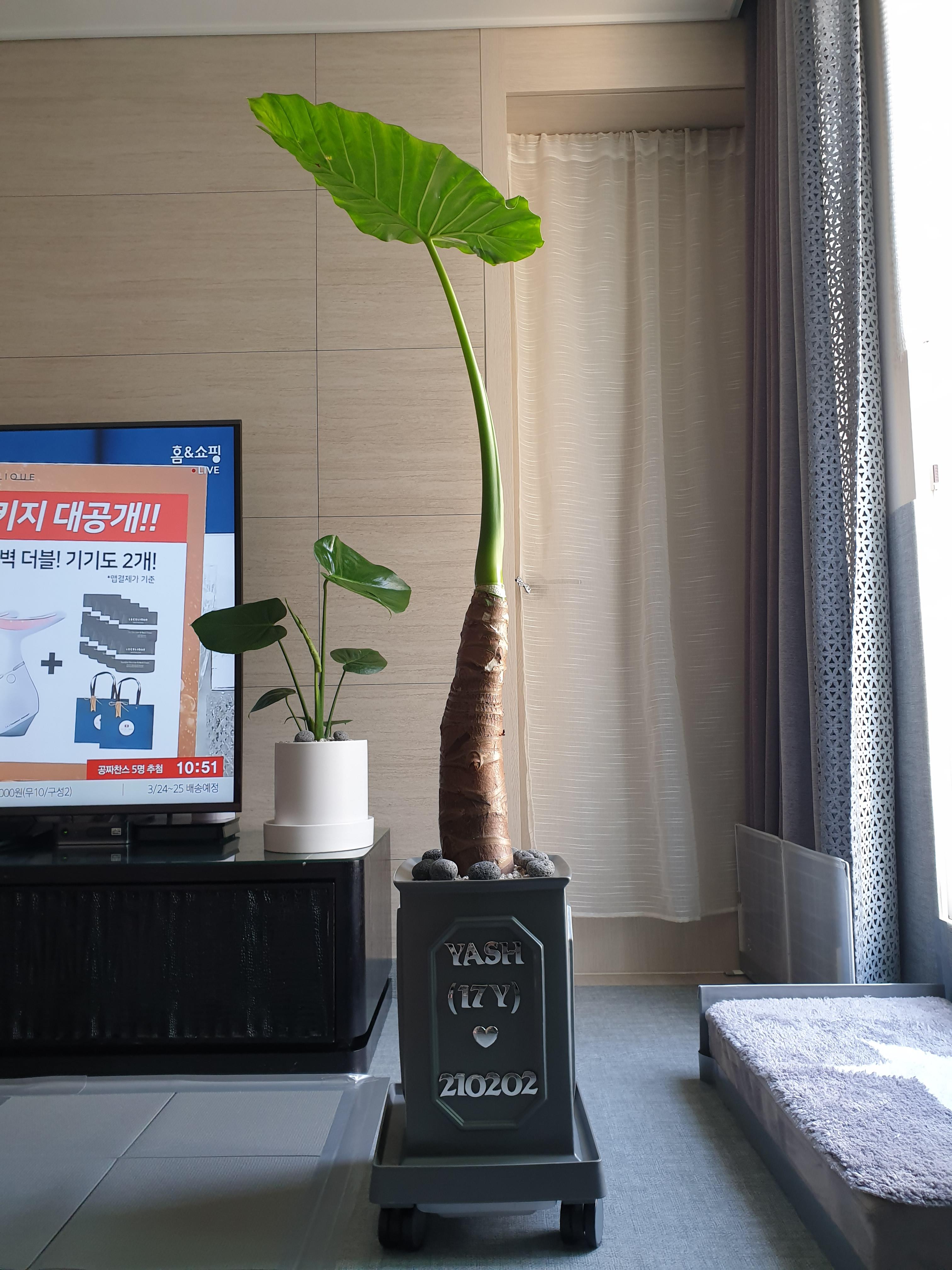 공단동 실거주자 사진 1