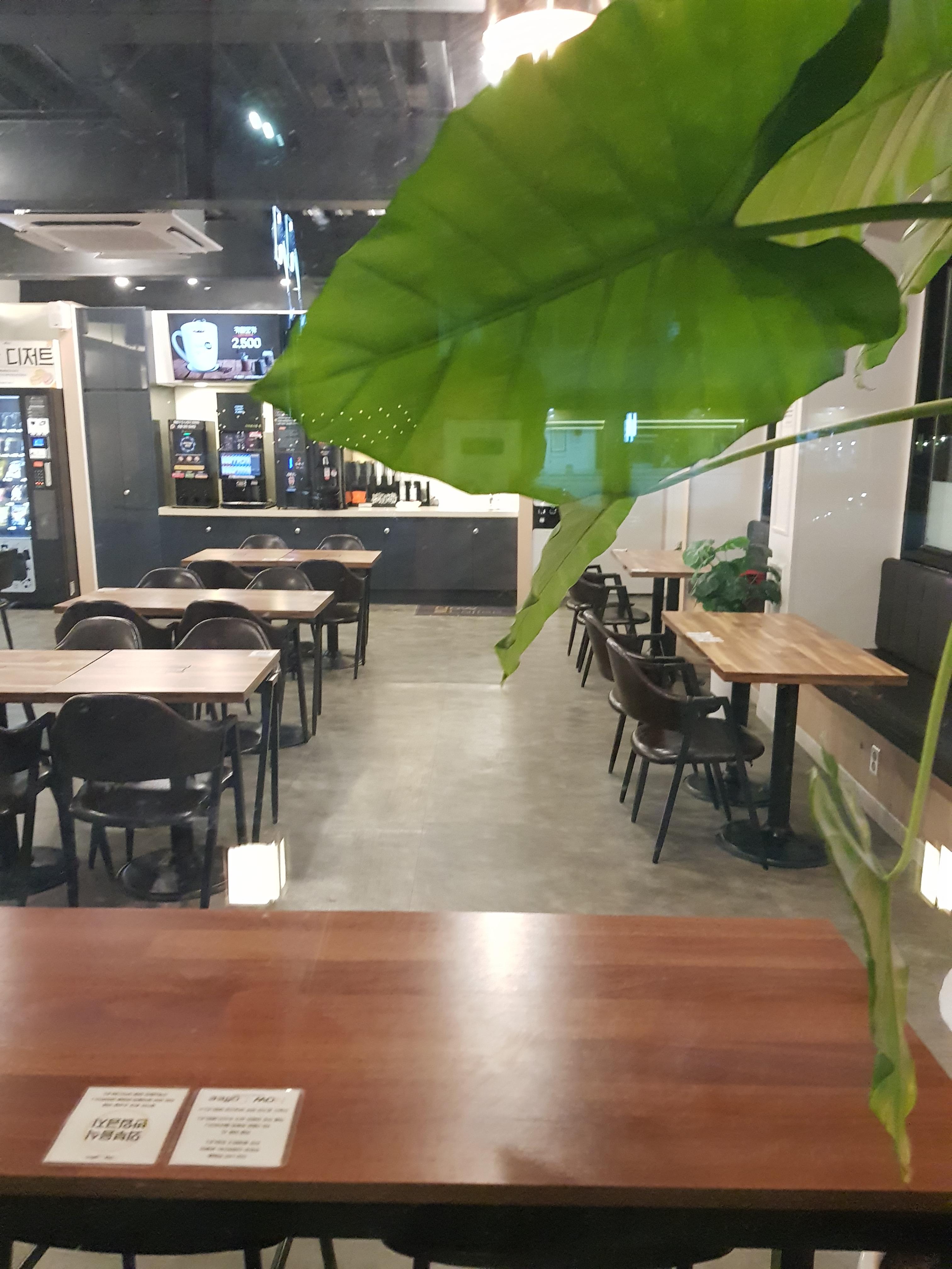 입암동 실거주자 사진 7