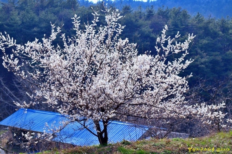 서암동 실거주자 사진 1