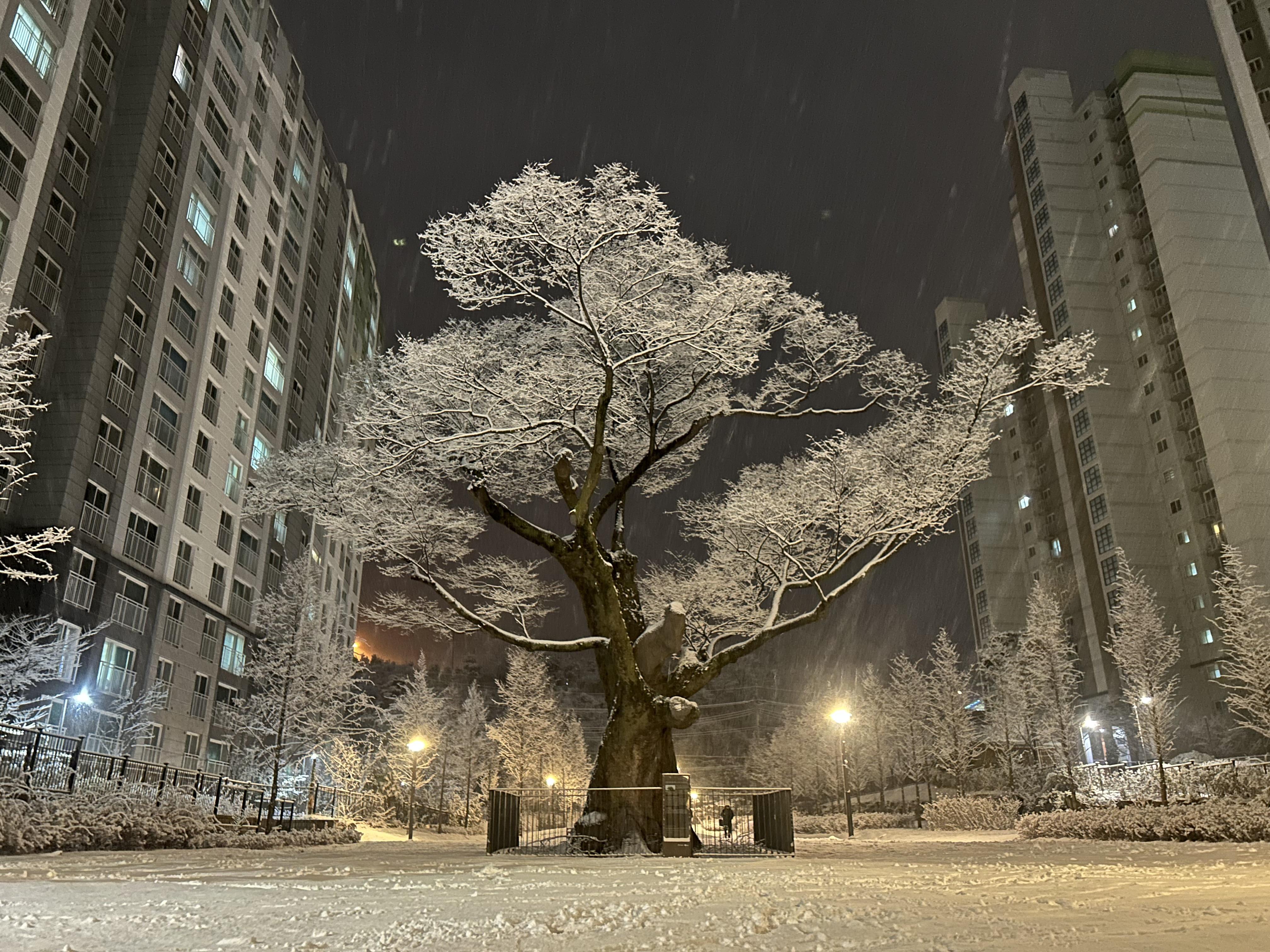 산곡동 실거주자 사진 2