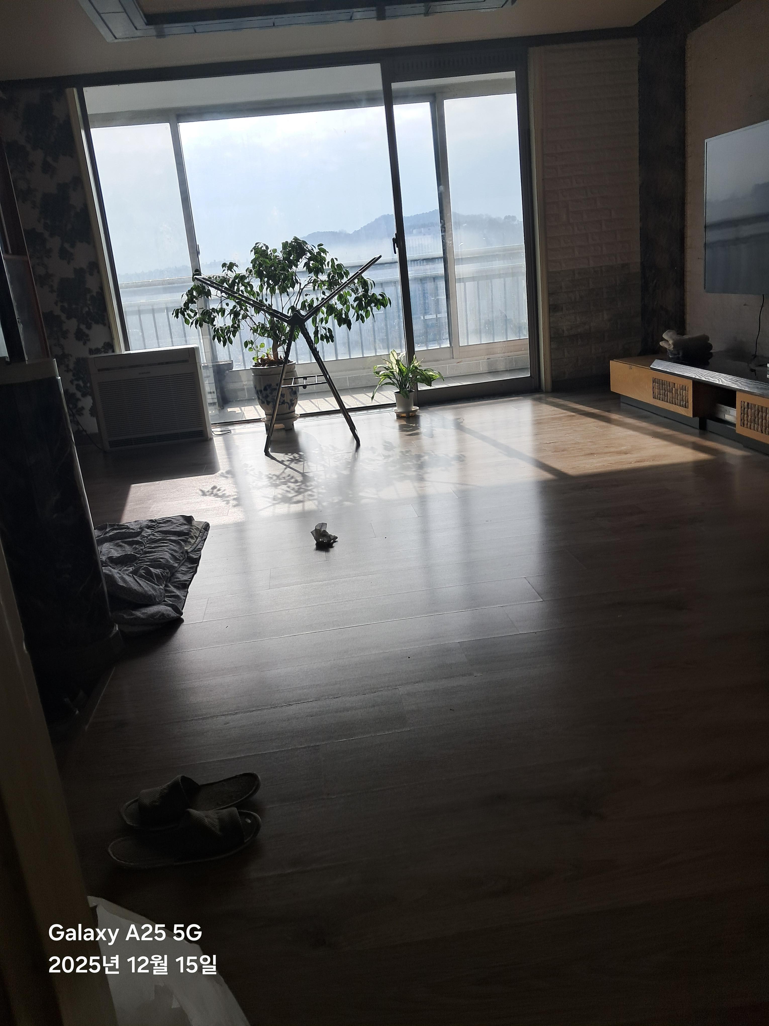 전원 실거주자 사진