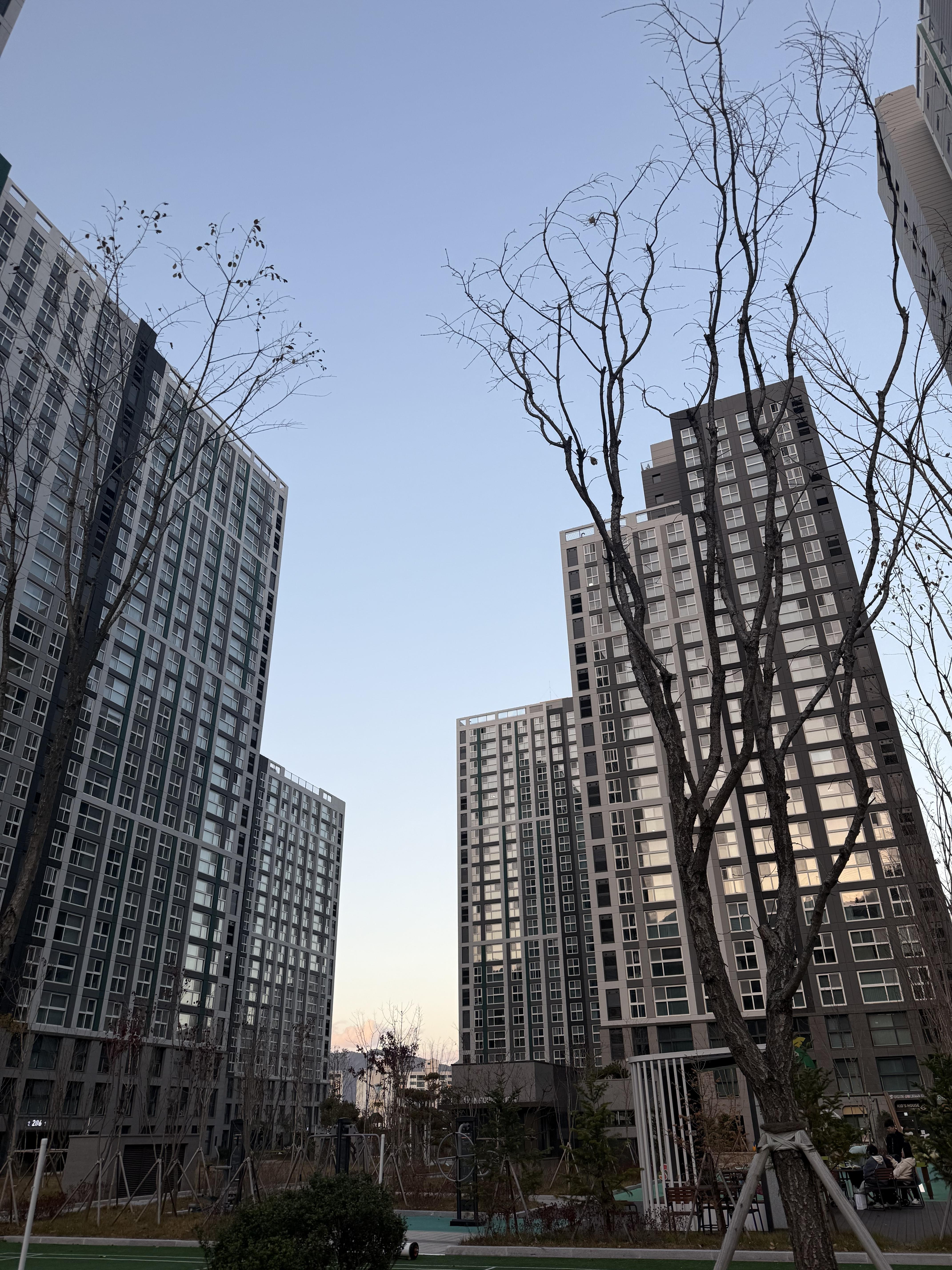 안민동 실거주자 사진 2