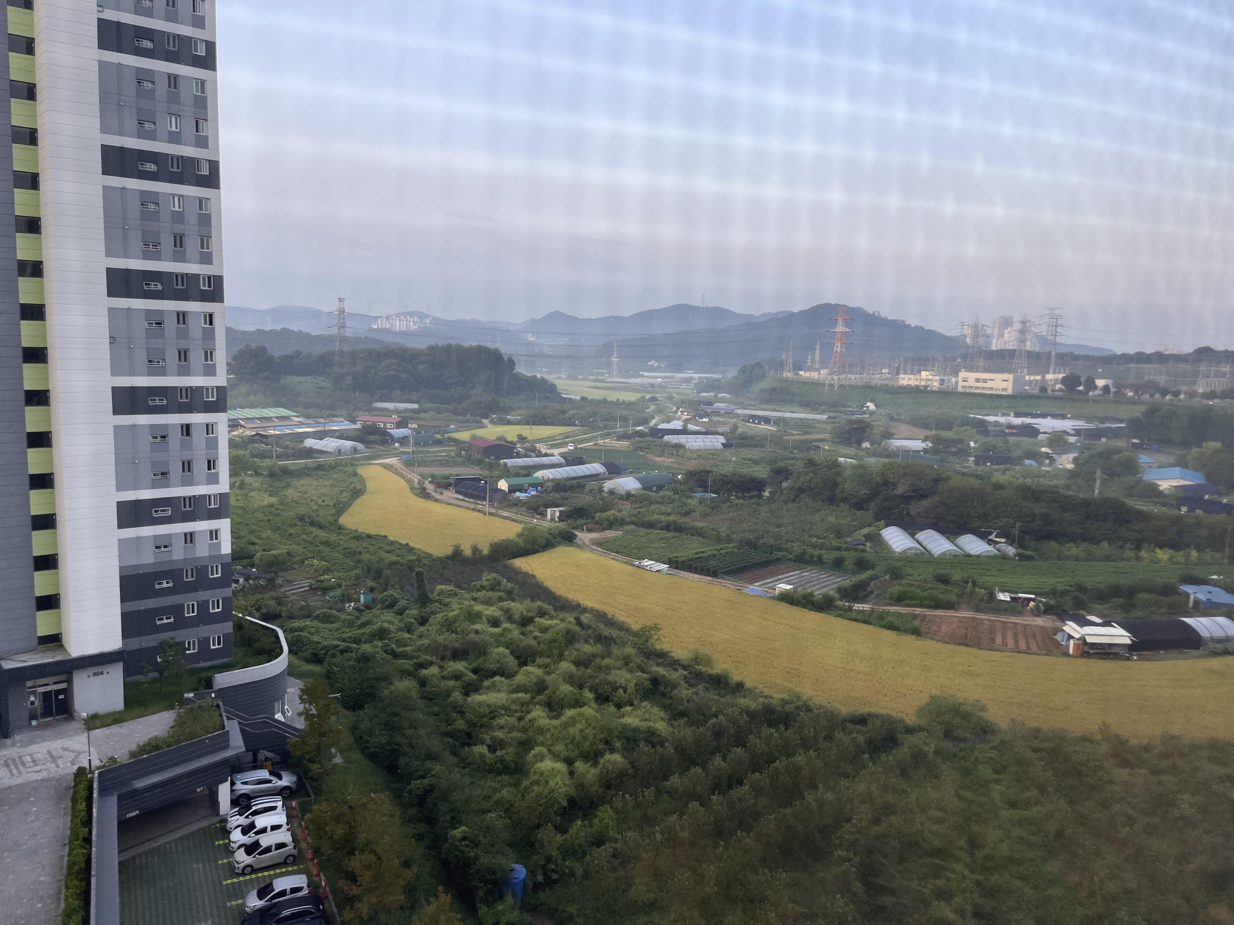 도마교동 실거주자 사진 6