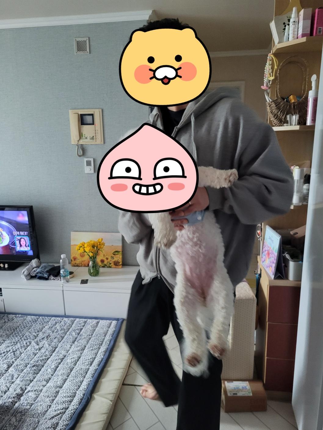 사동 실거주자 사진 8