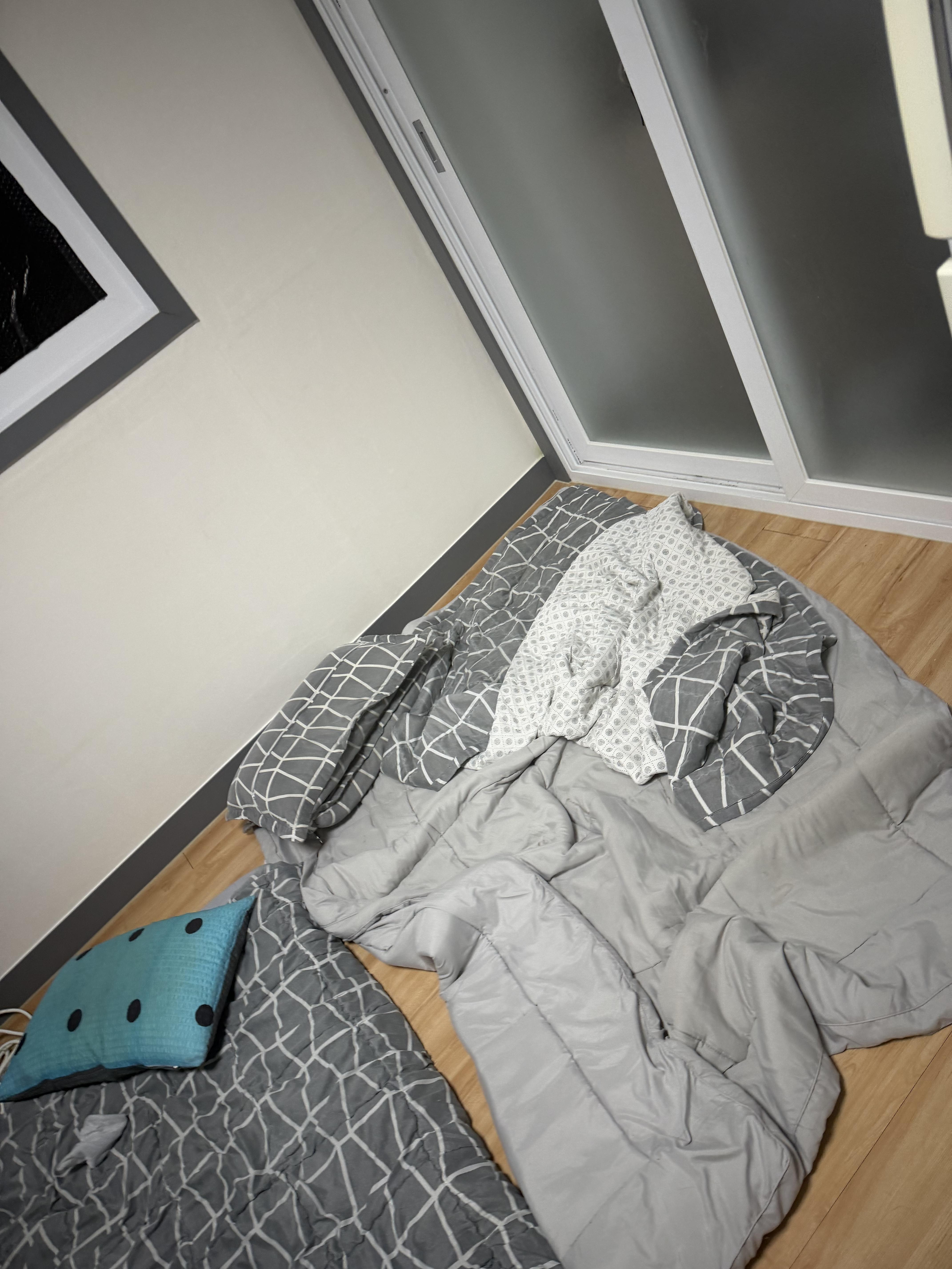 파호동 실거주자 사진 1