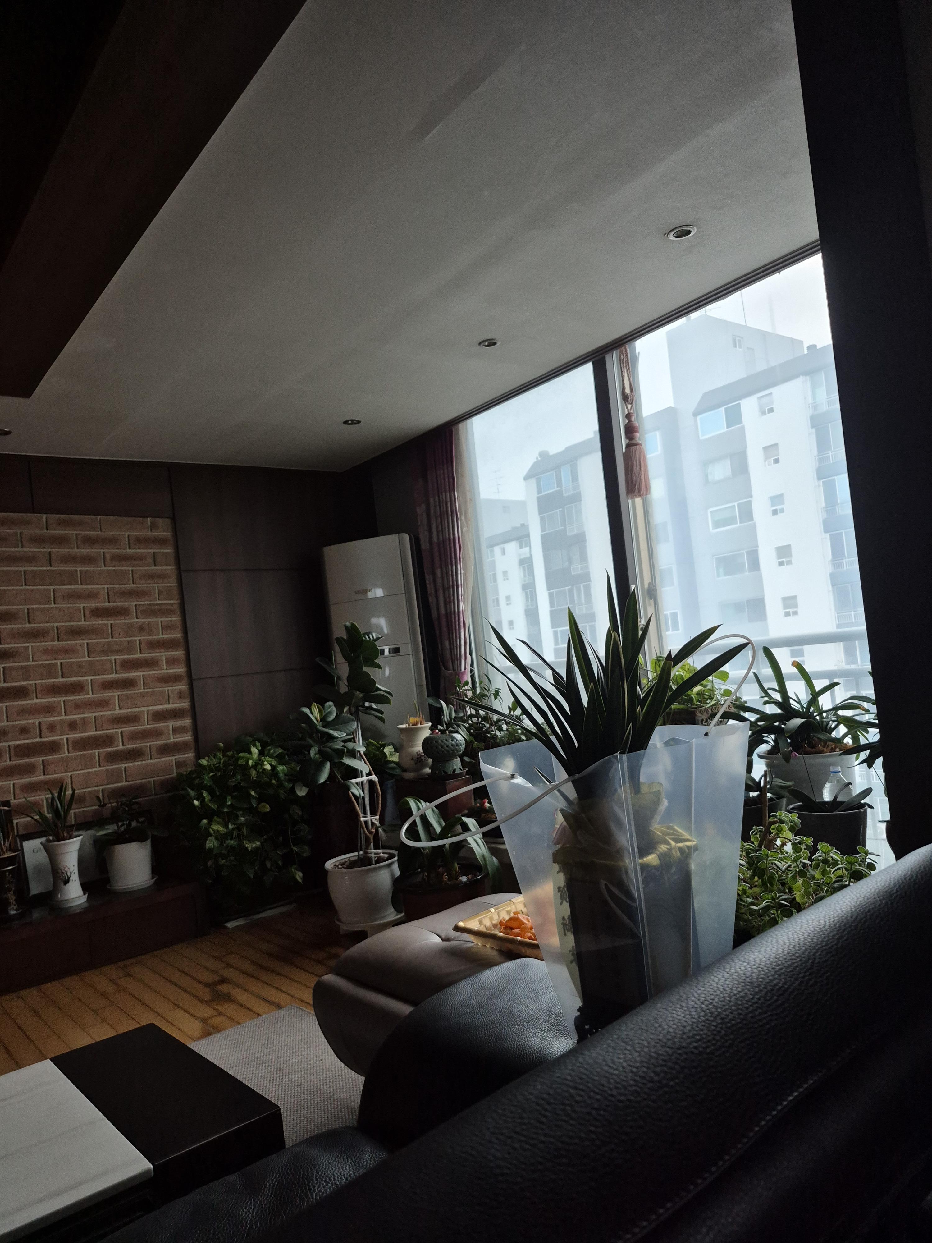 상동 실거주자 사진 6