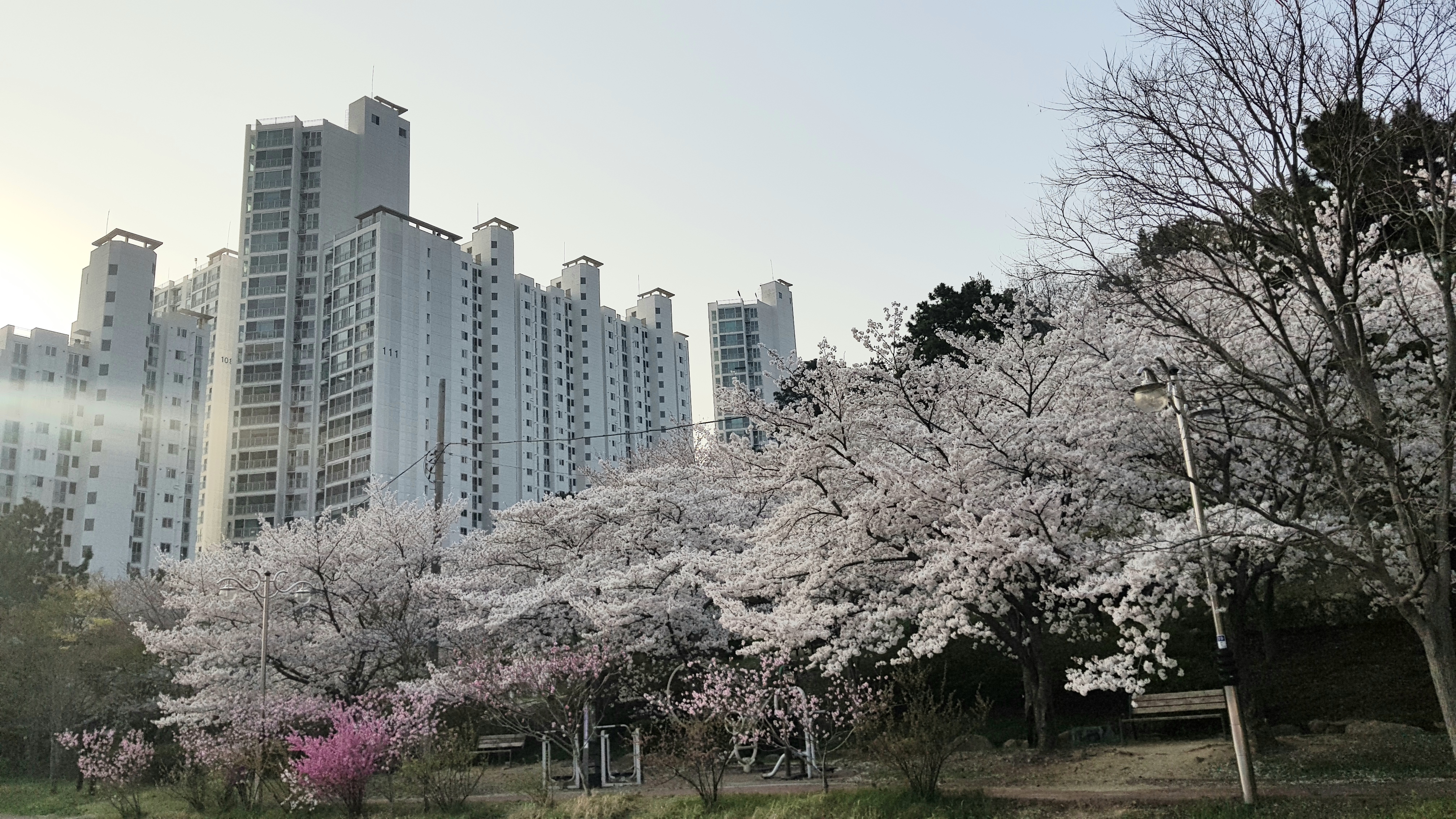 양정동 실거주자 사진 3