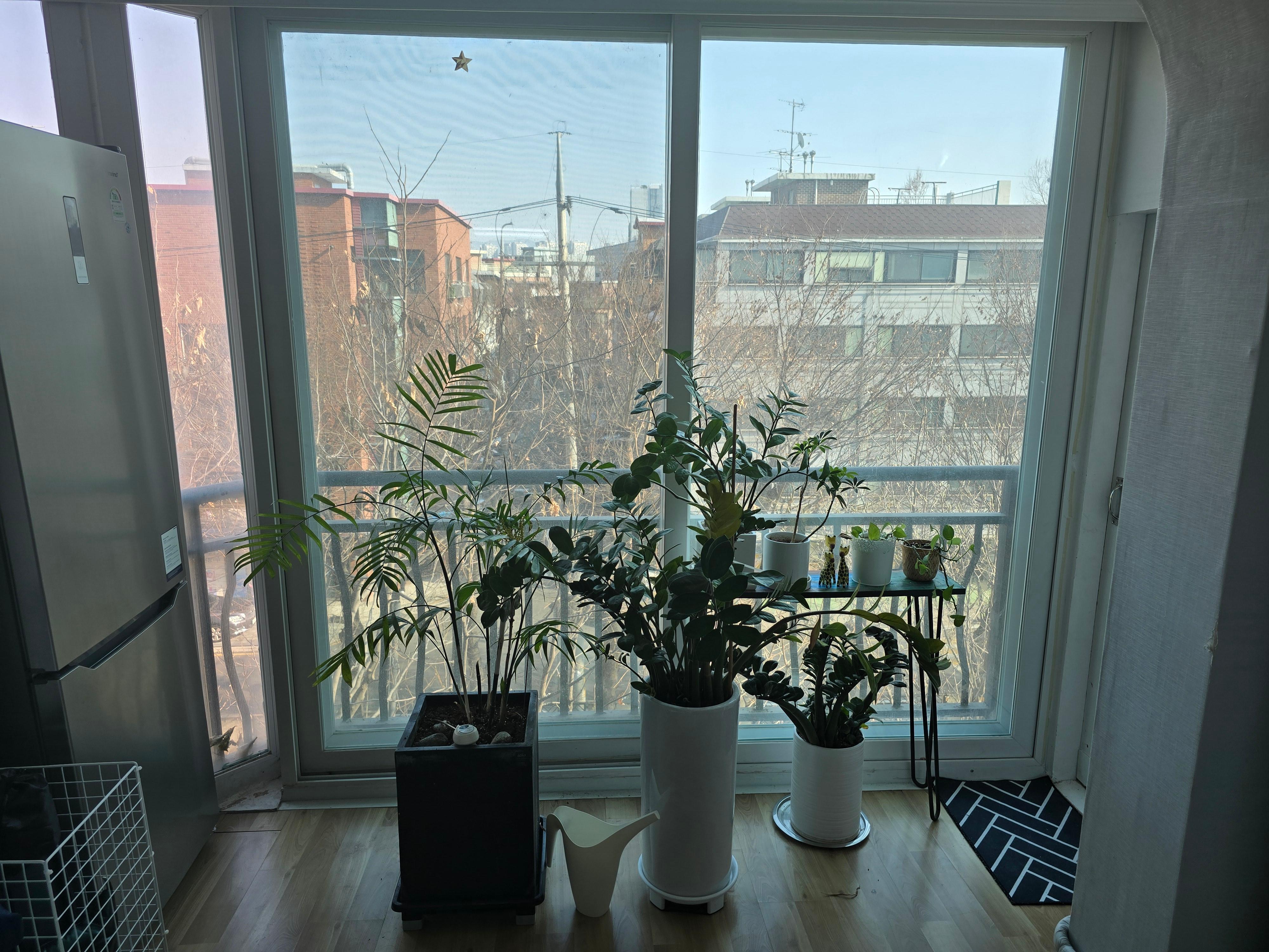 잠실동 실거주자 사진 6