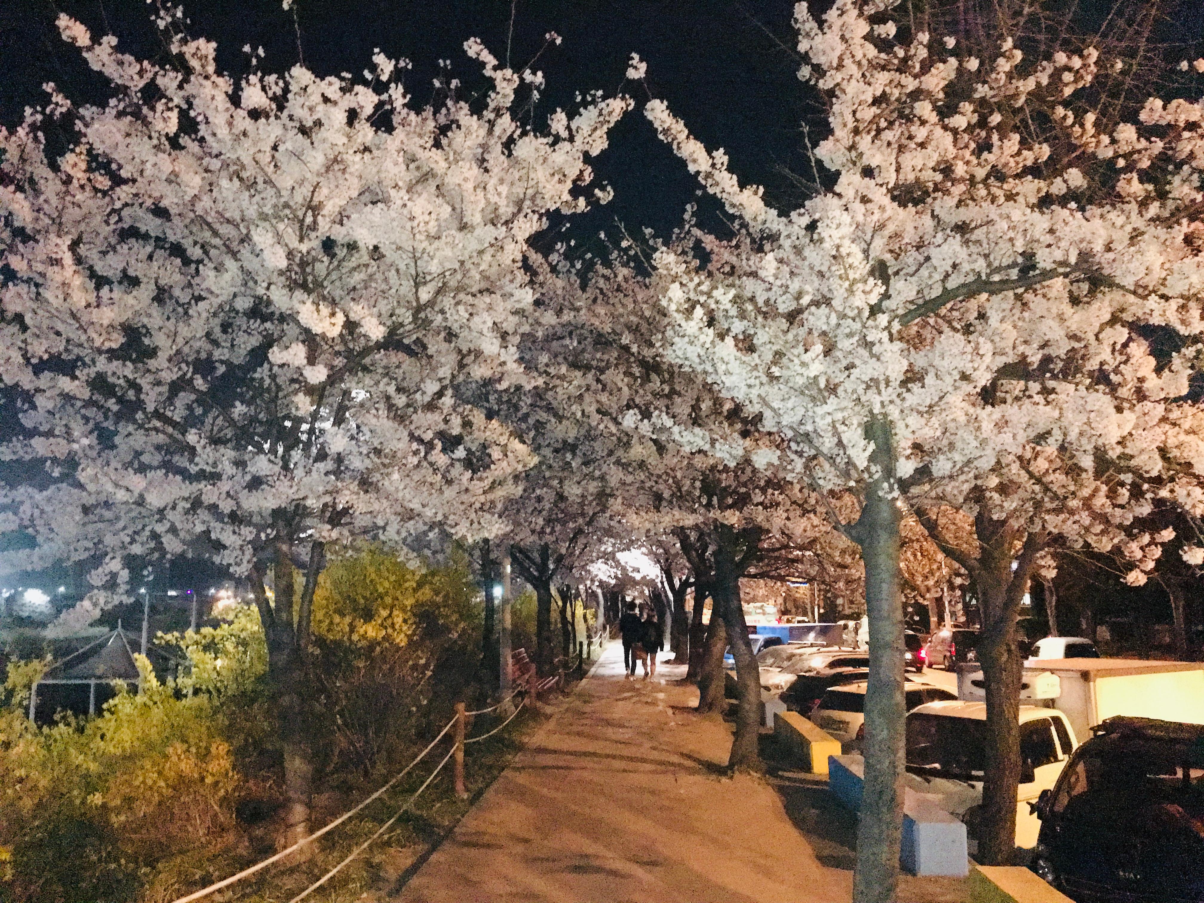 석수동 실거주자 사진 1