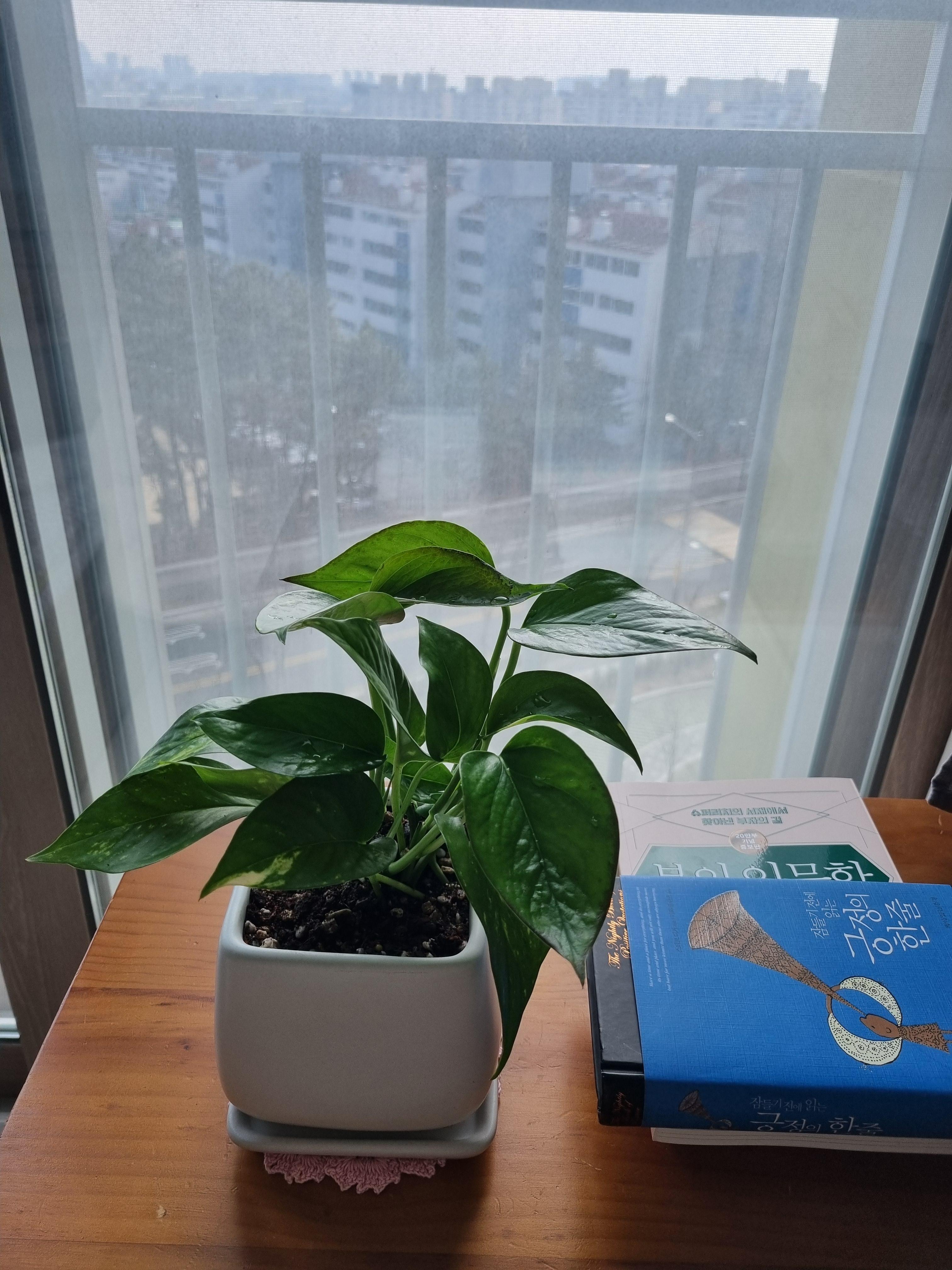 동춘동 실거주자 사진 3