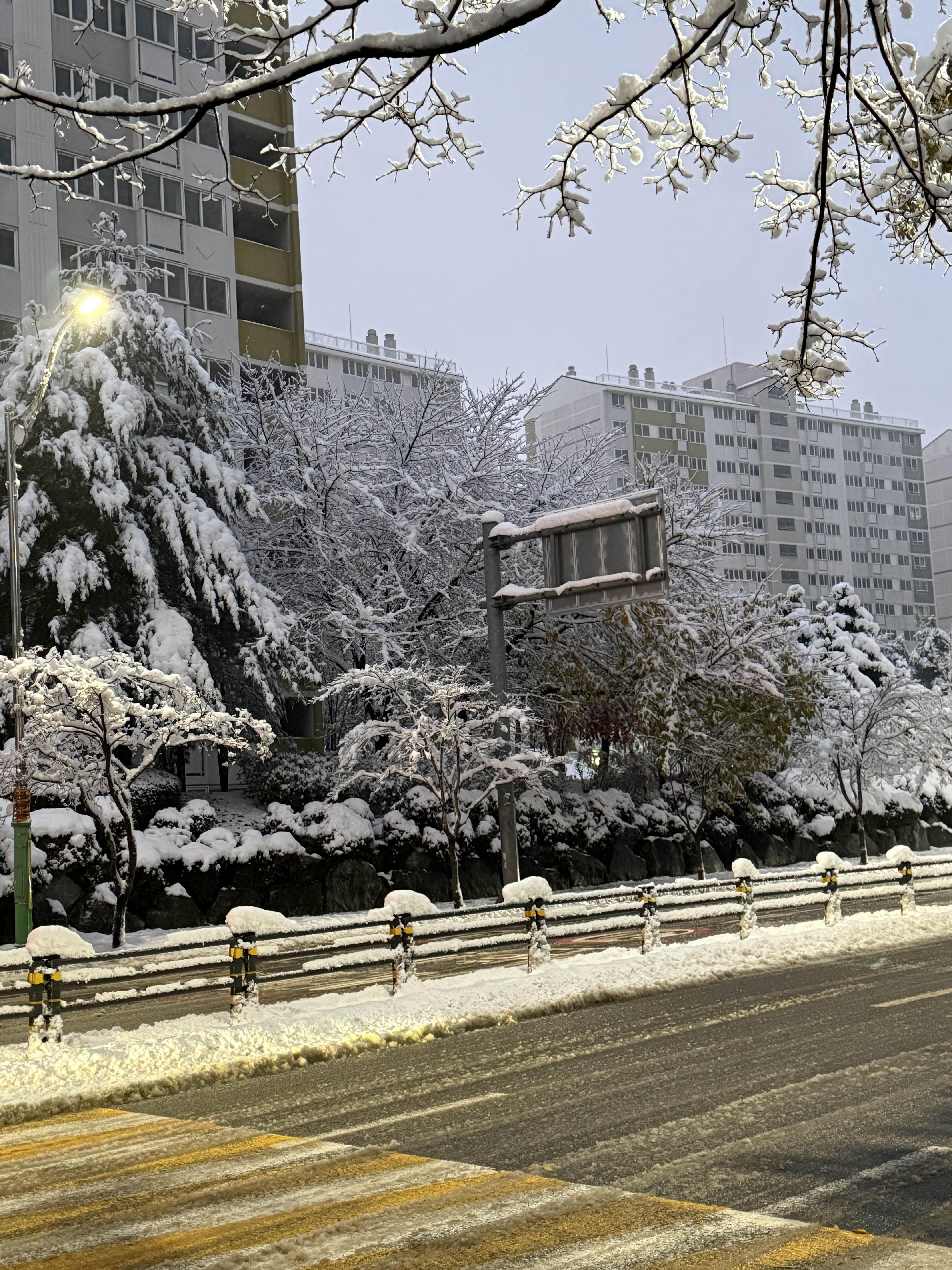 동양동 실거주자 사진 6