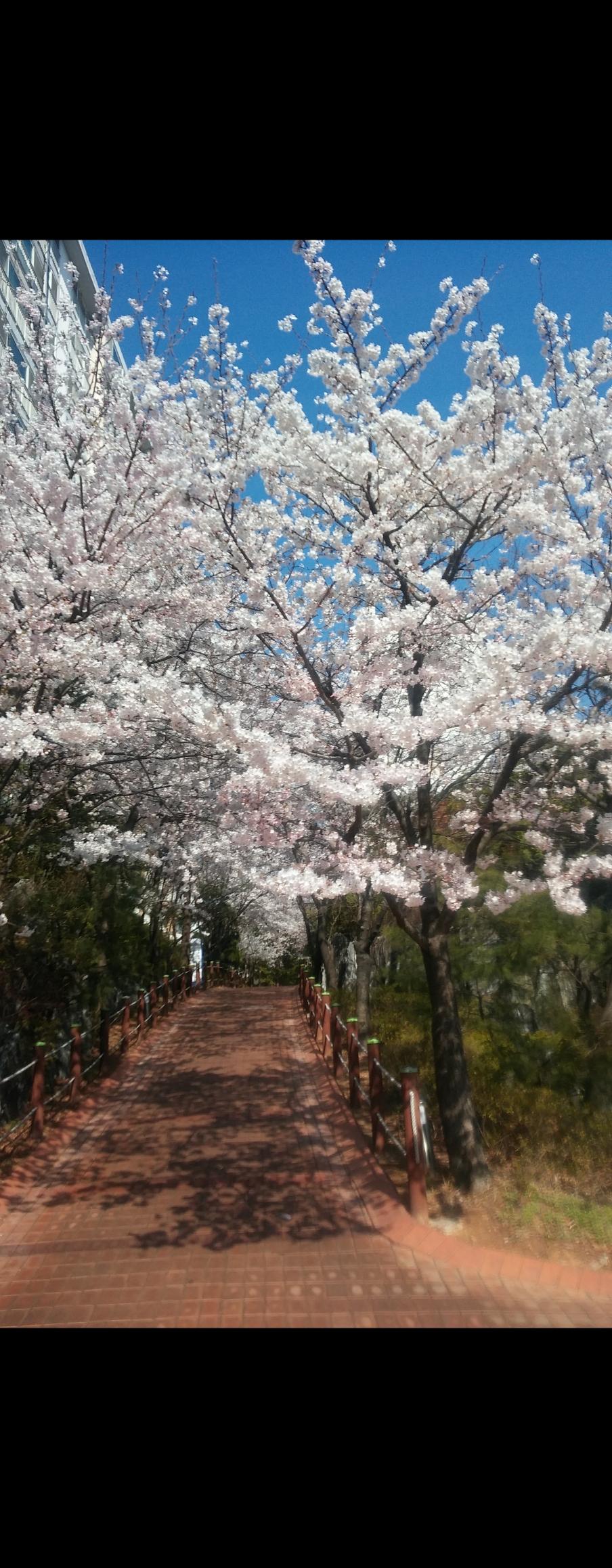 문발동 실거주자 사진 1