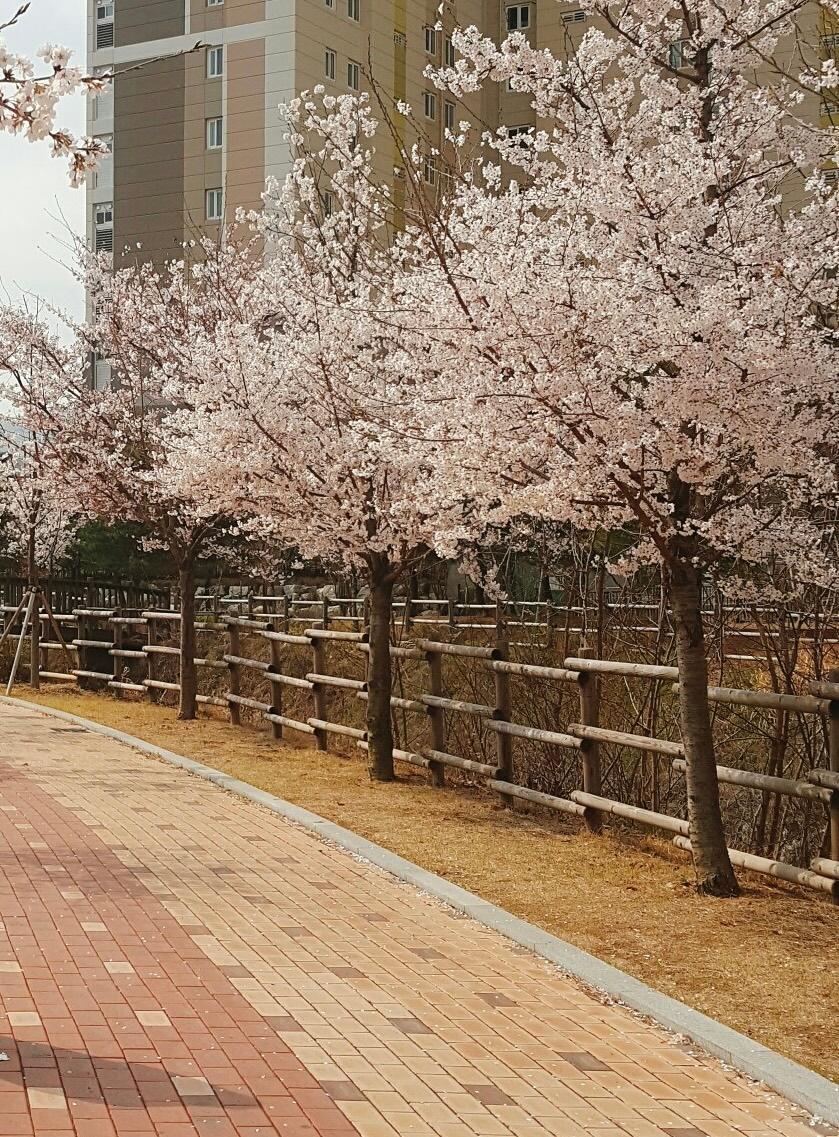 사수동 실거주자 사진 1