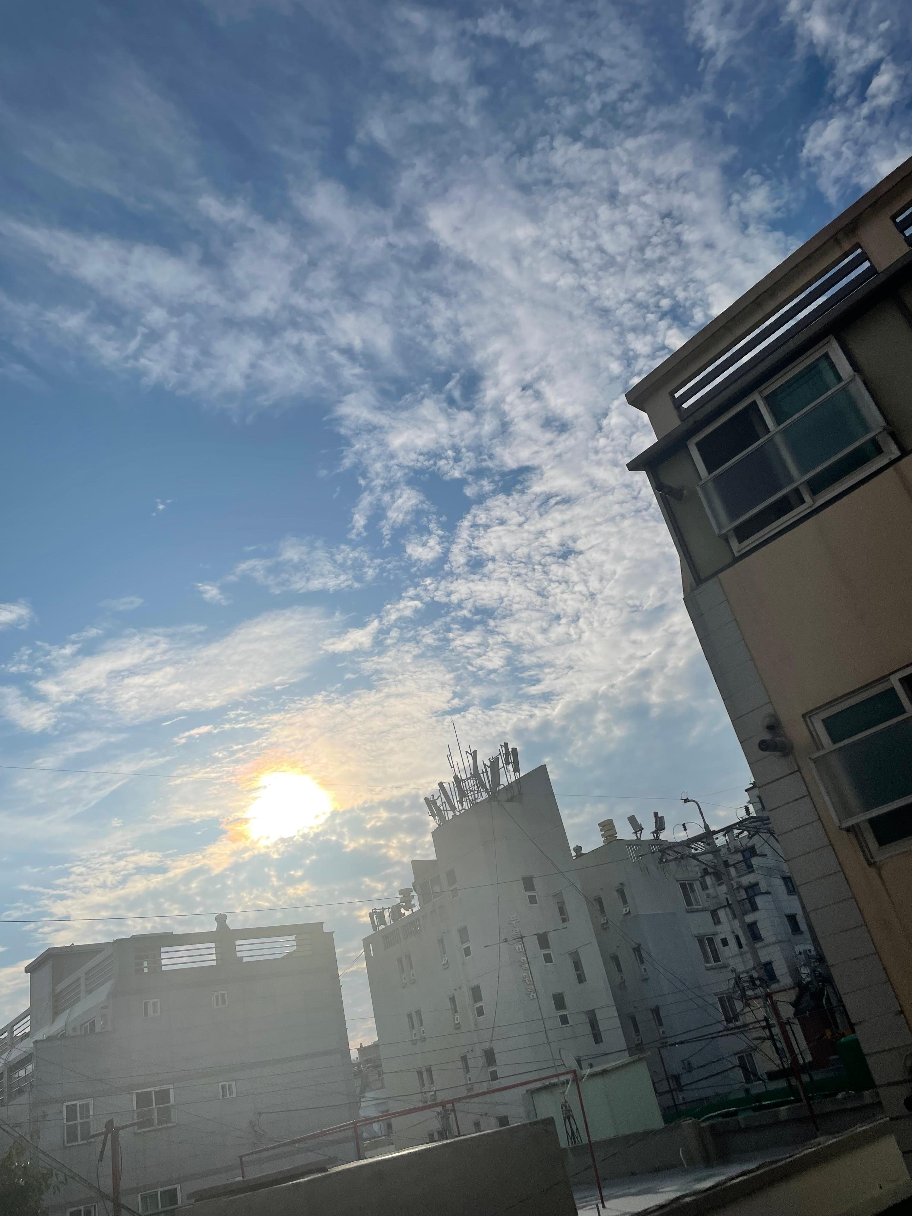 대연동 실거주자 사진 2