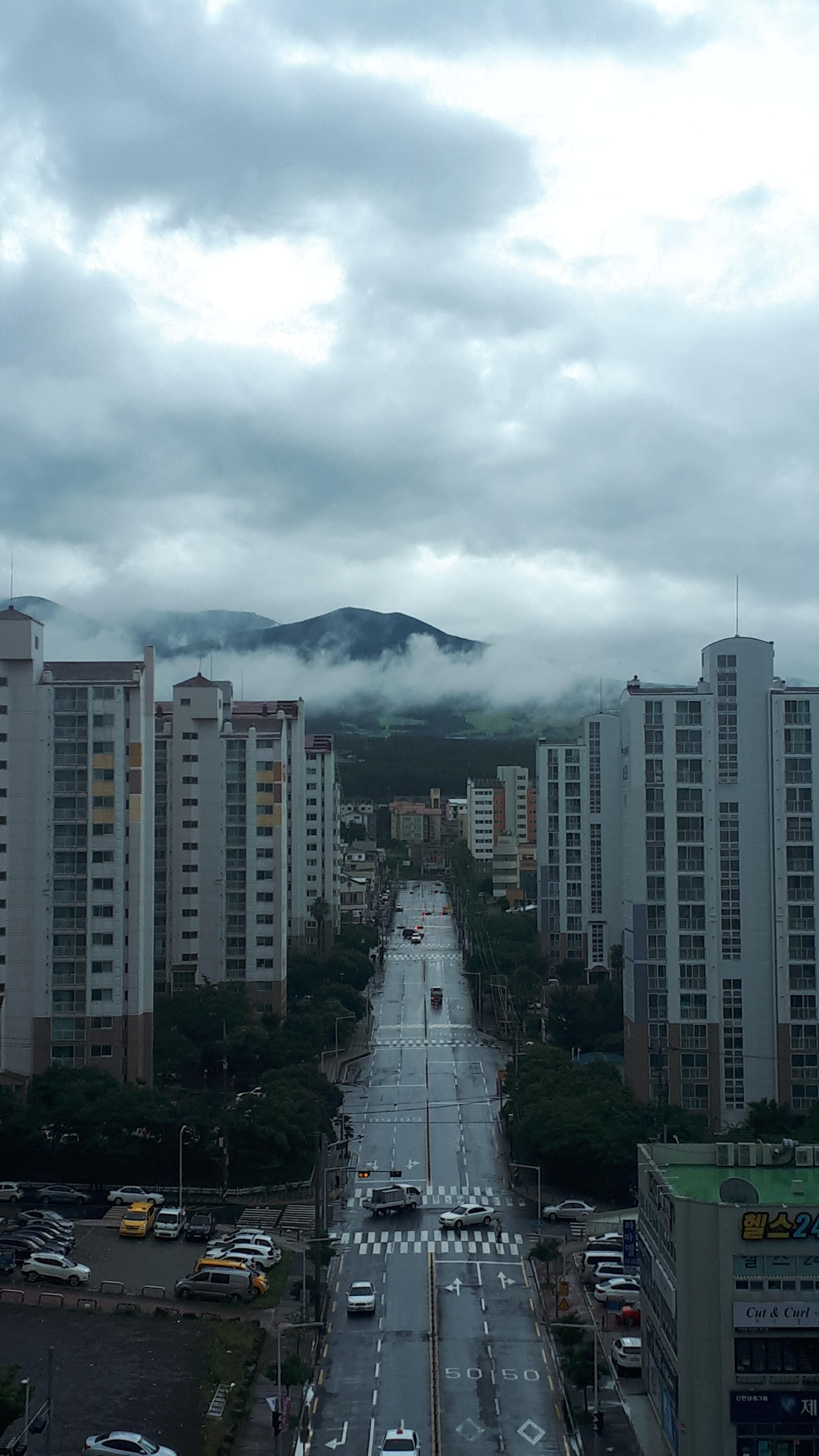 연동 실거주자 사진 7