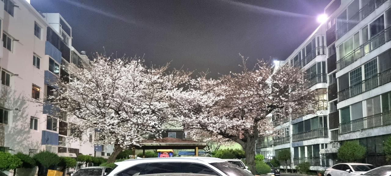 전하동 실거주자 사진 3
