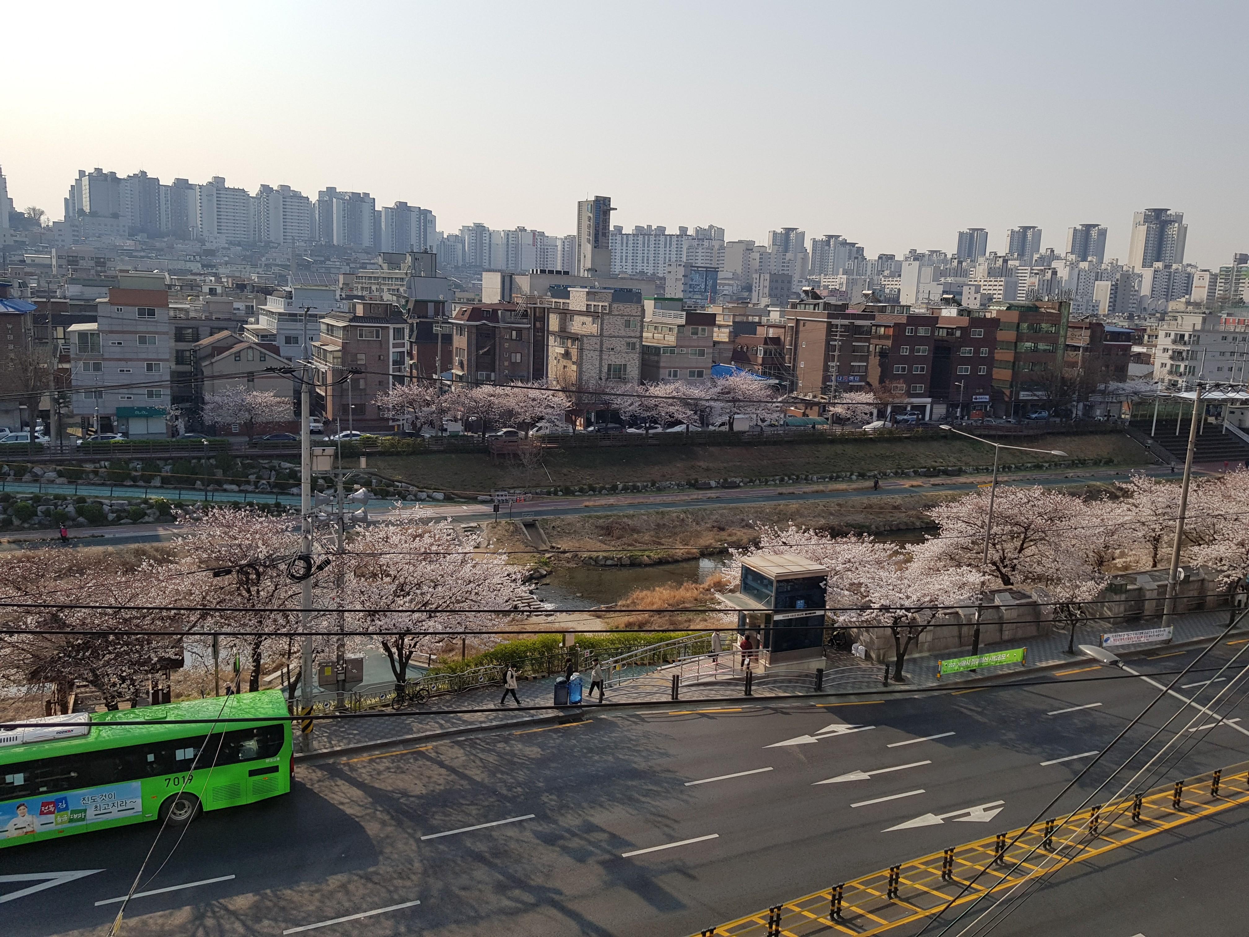 증산동 실거주자 사진 8