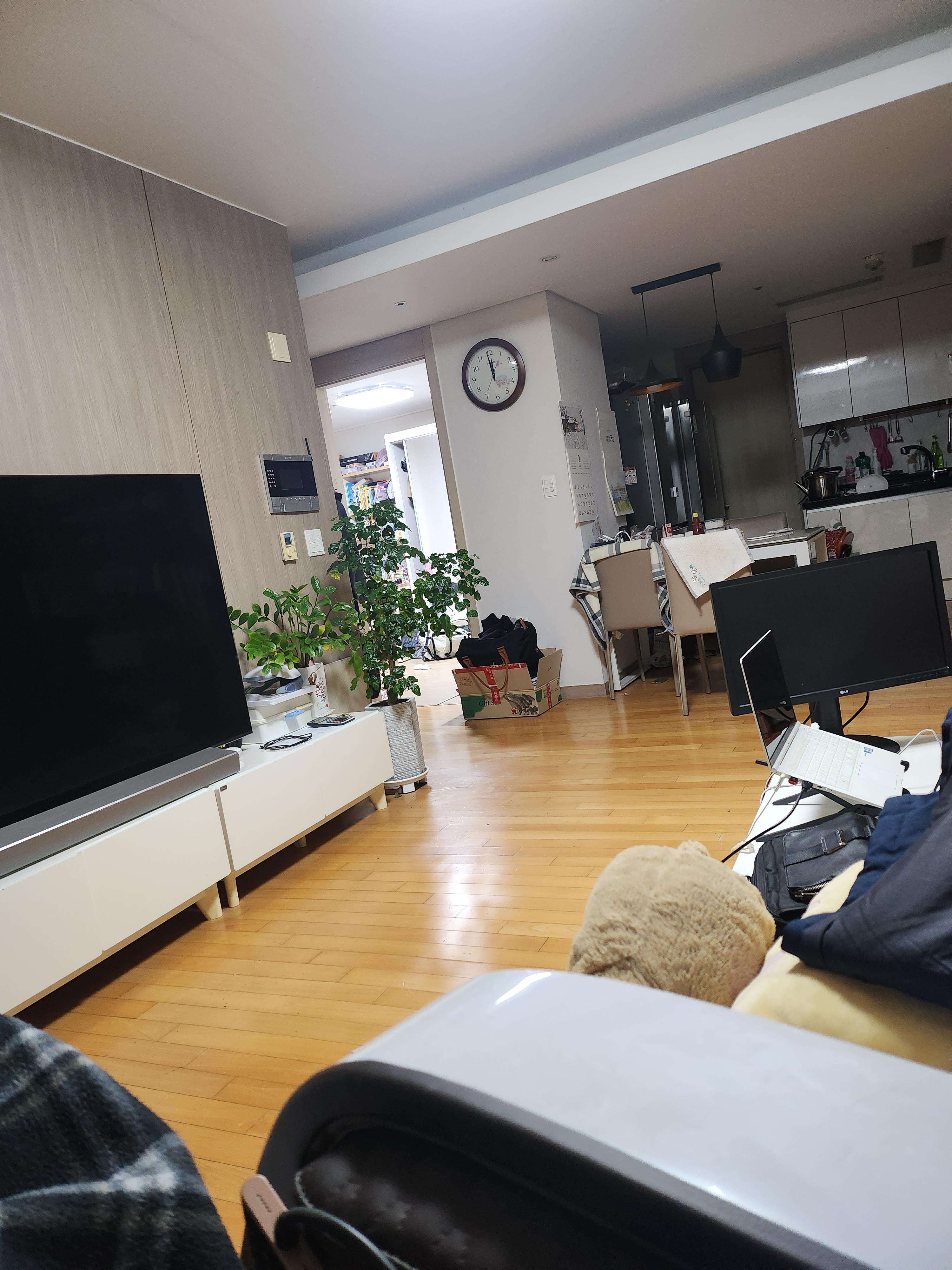 하월곡동 실거주자 사진 8