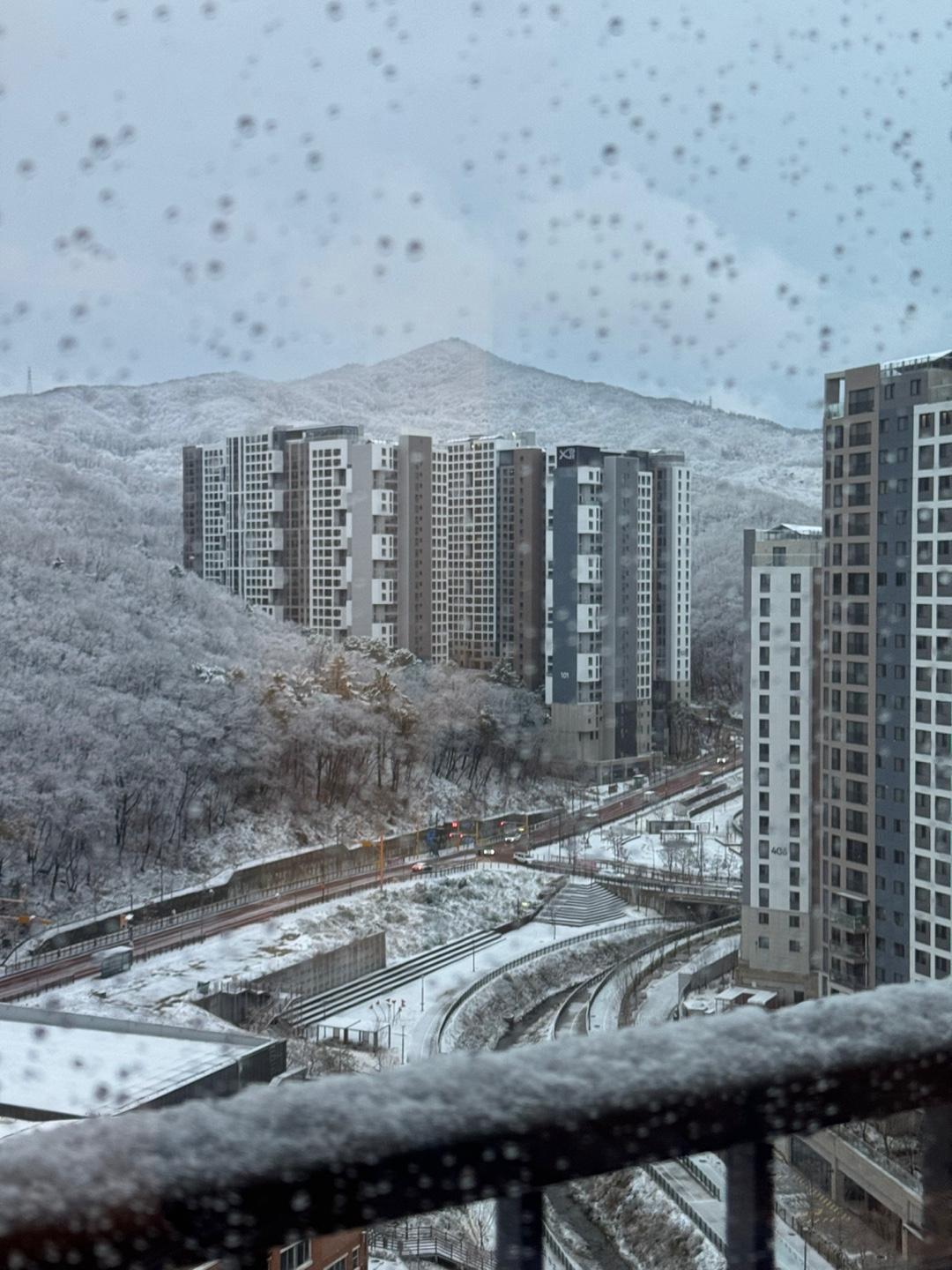 고산동 실거주자 사진 8