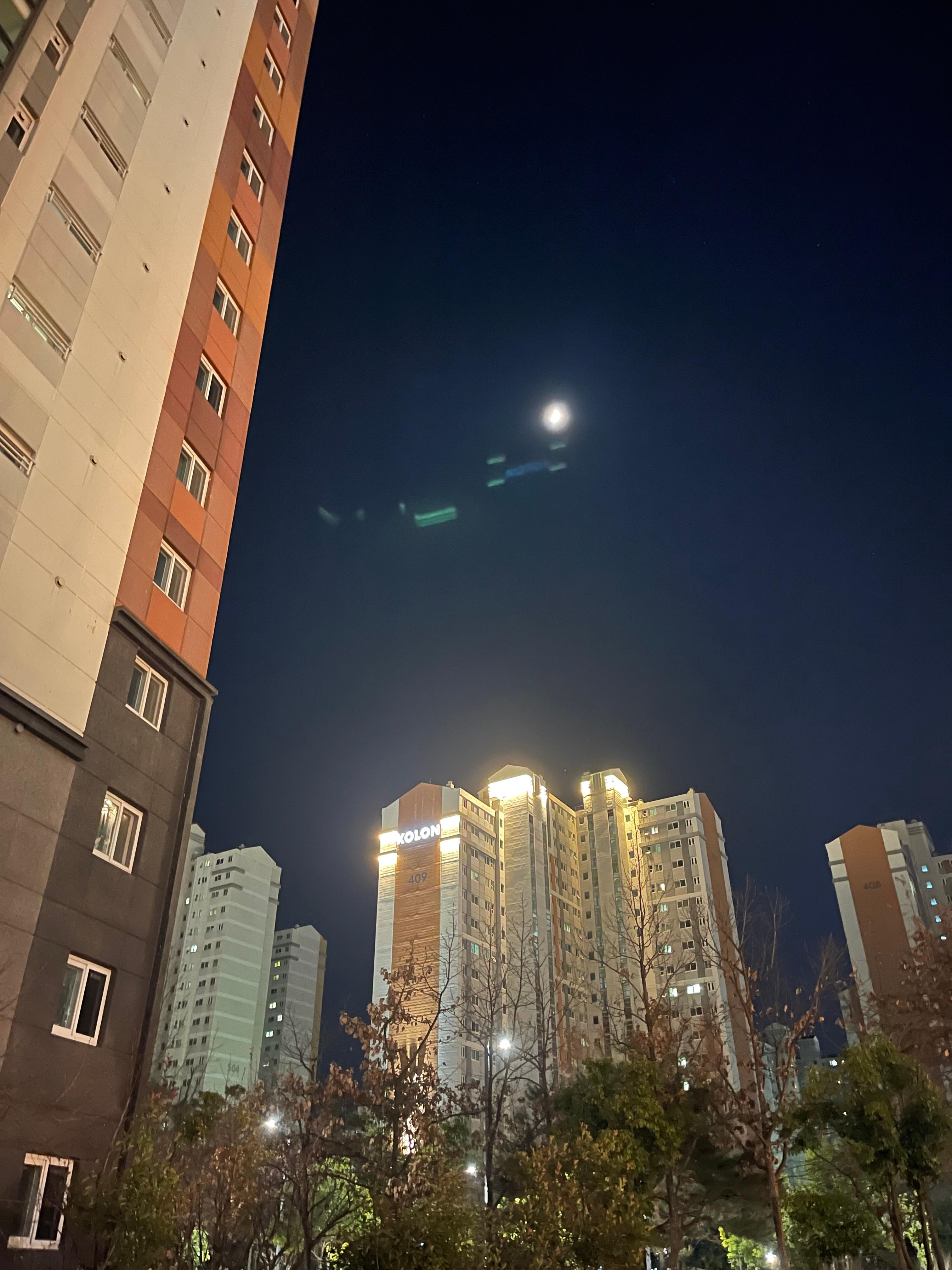 충무공동 실거주자 사진 7