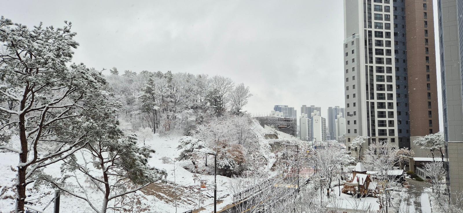 고산동 실거주자 사진 6