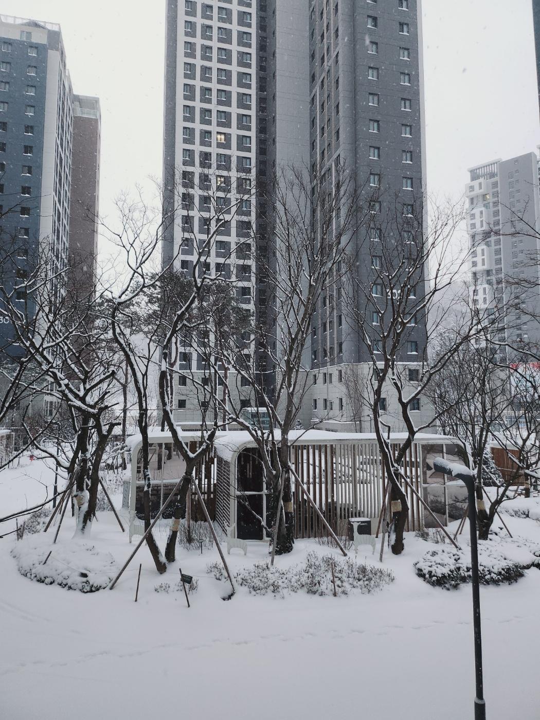 고산동 실거주자 사진 5