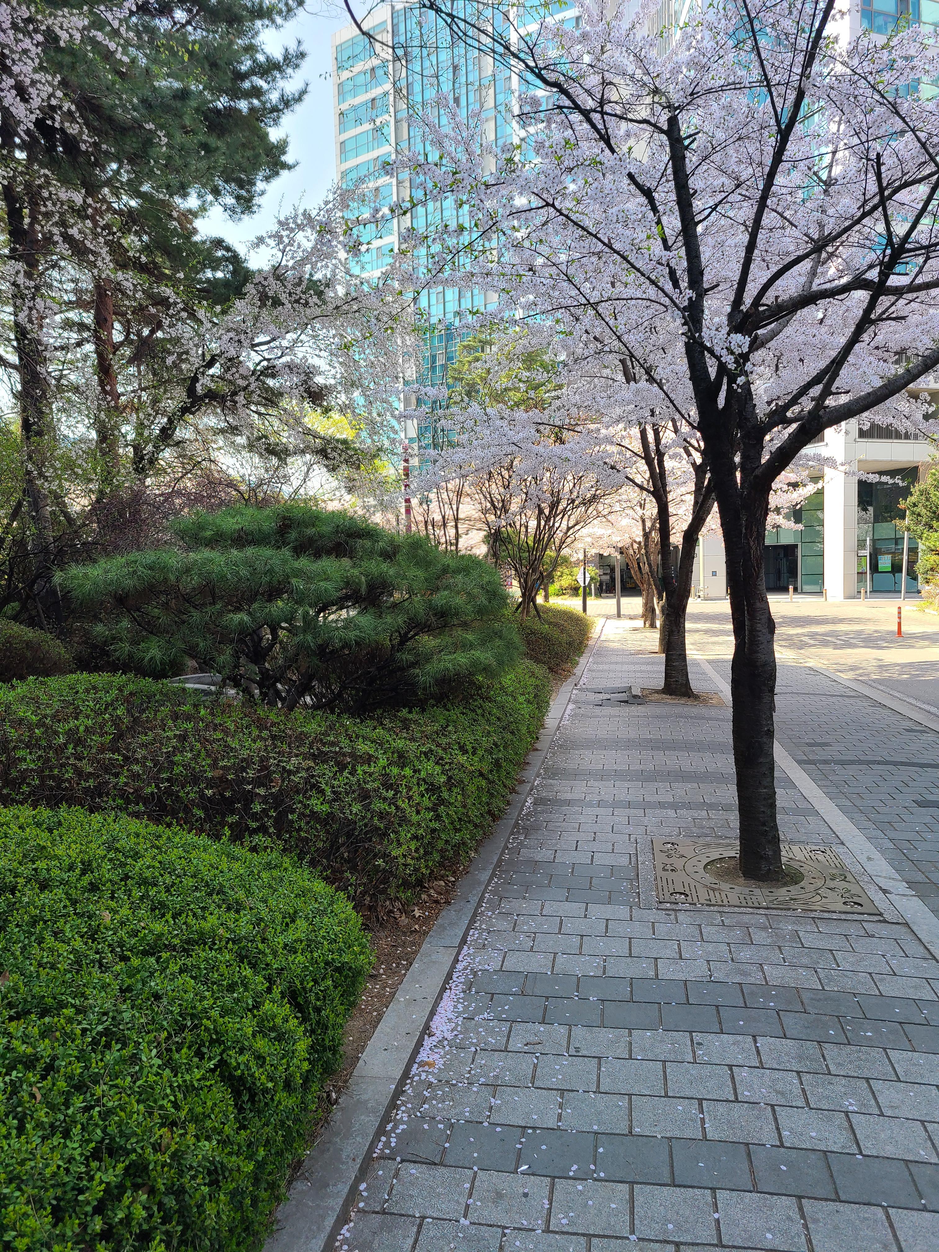 증산동 실거주자 사진 3