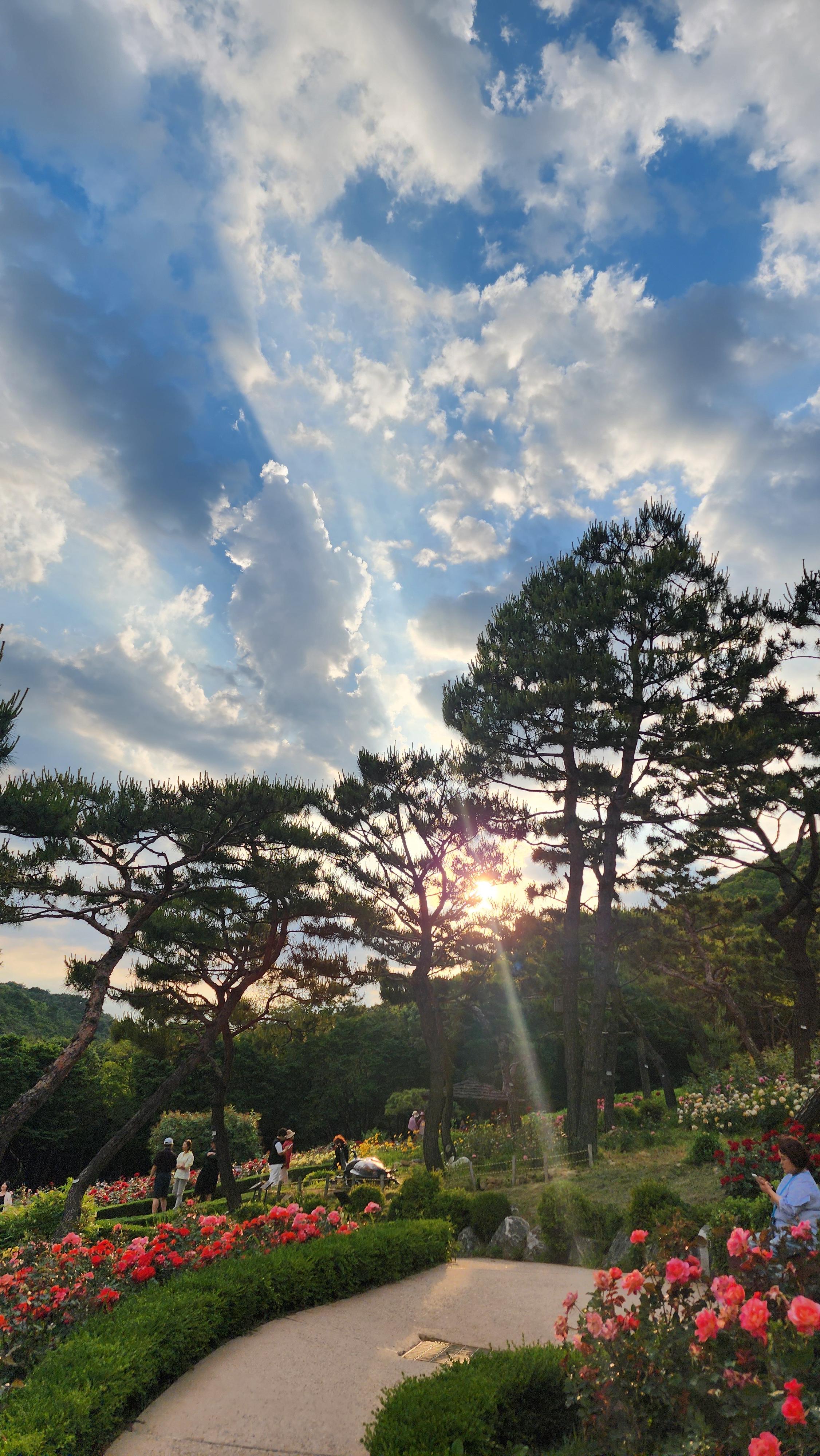 효성동 실거주자 사진 1