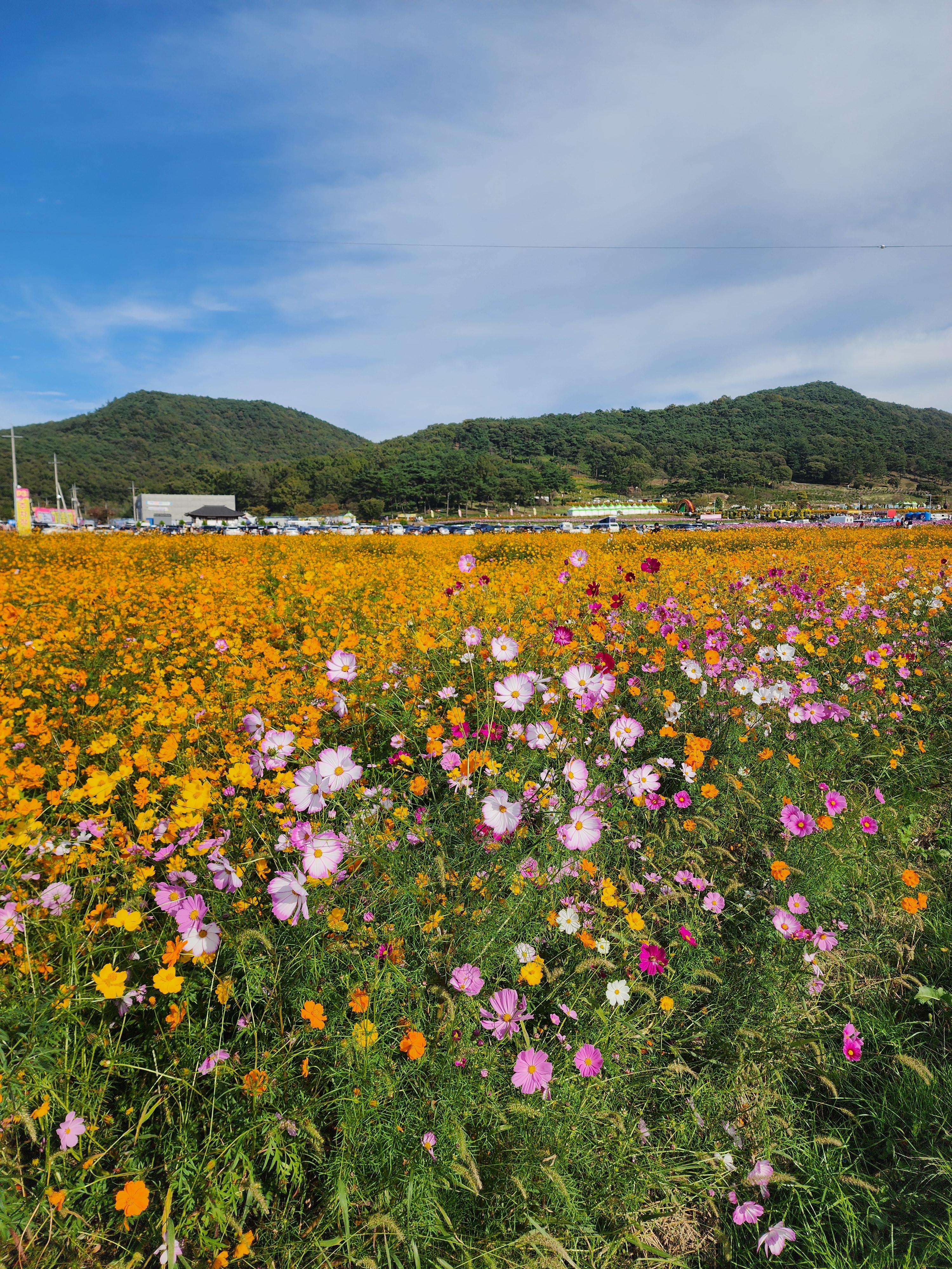 화순읍 실거주자 사진 2