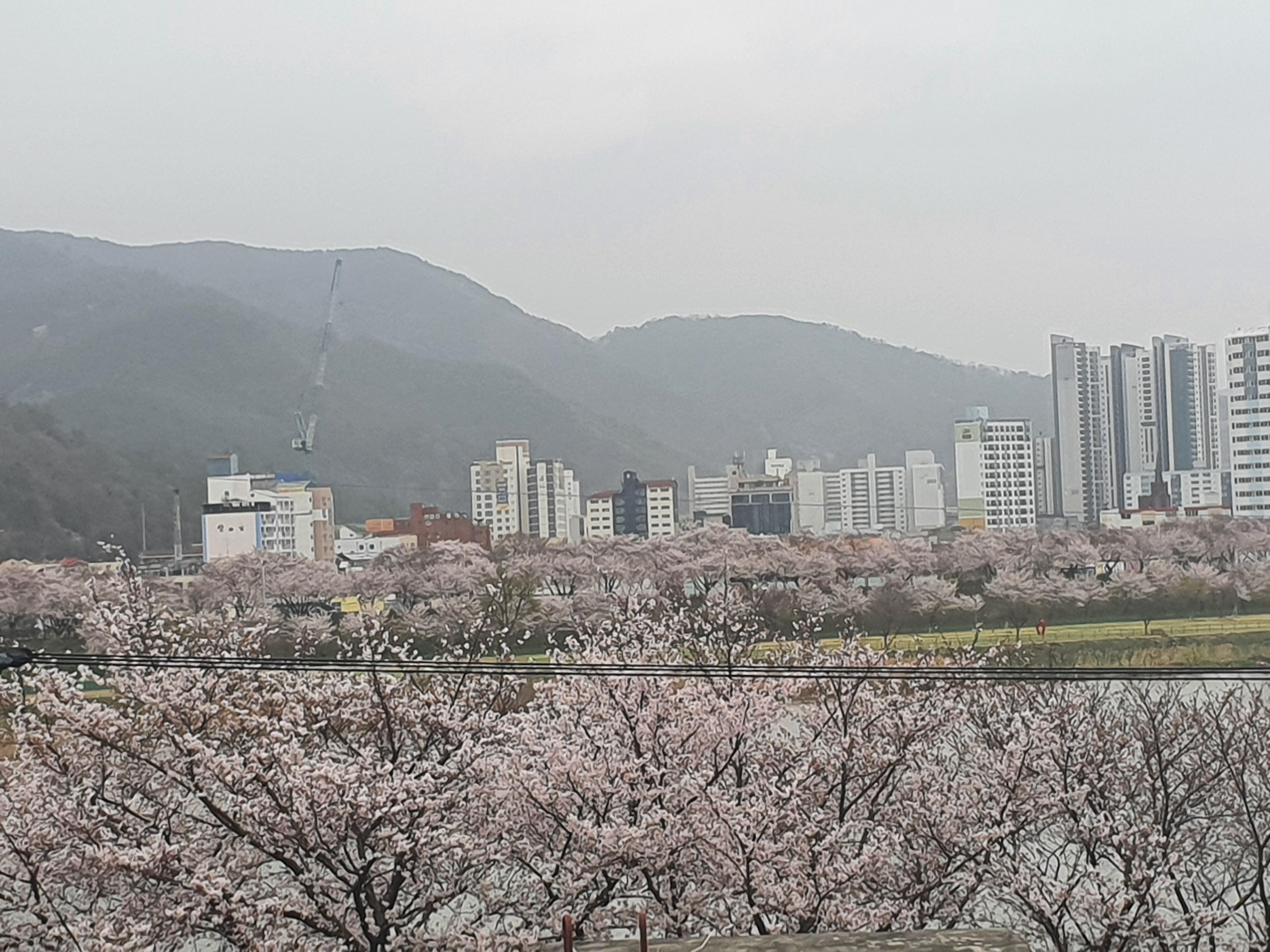 삼문동 실거주자 사진 5