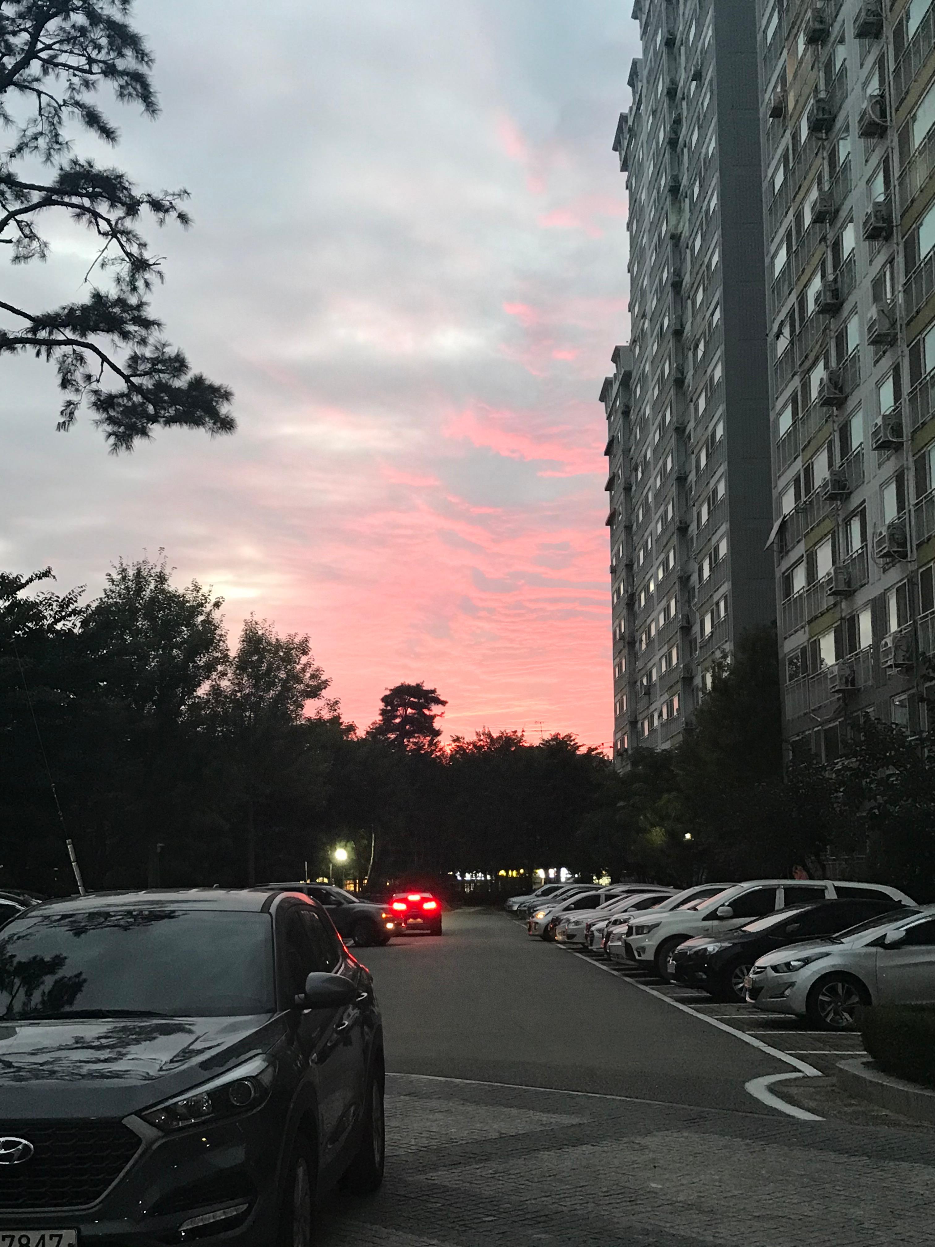 효자동2가 실거주자 사진 8