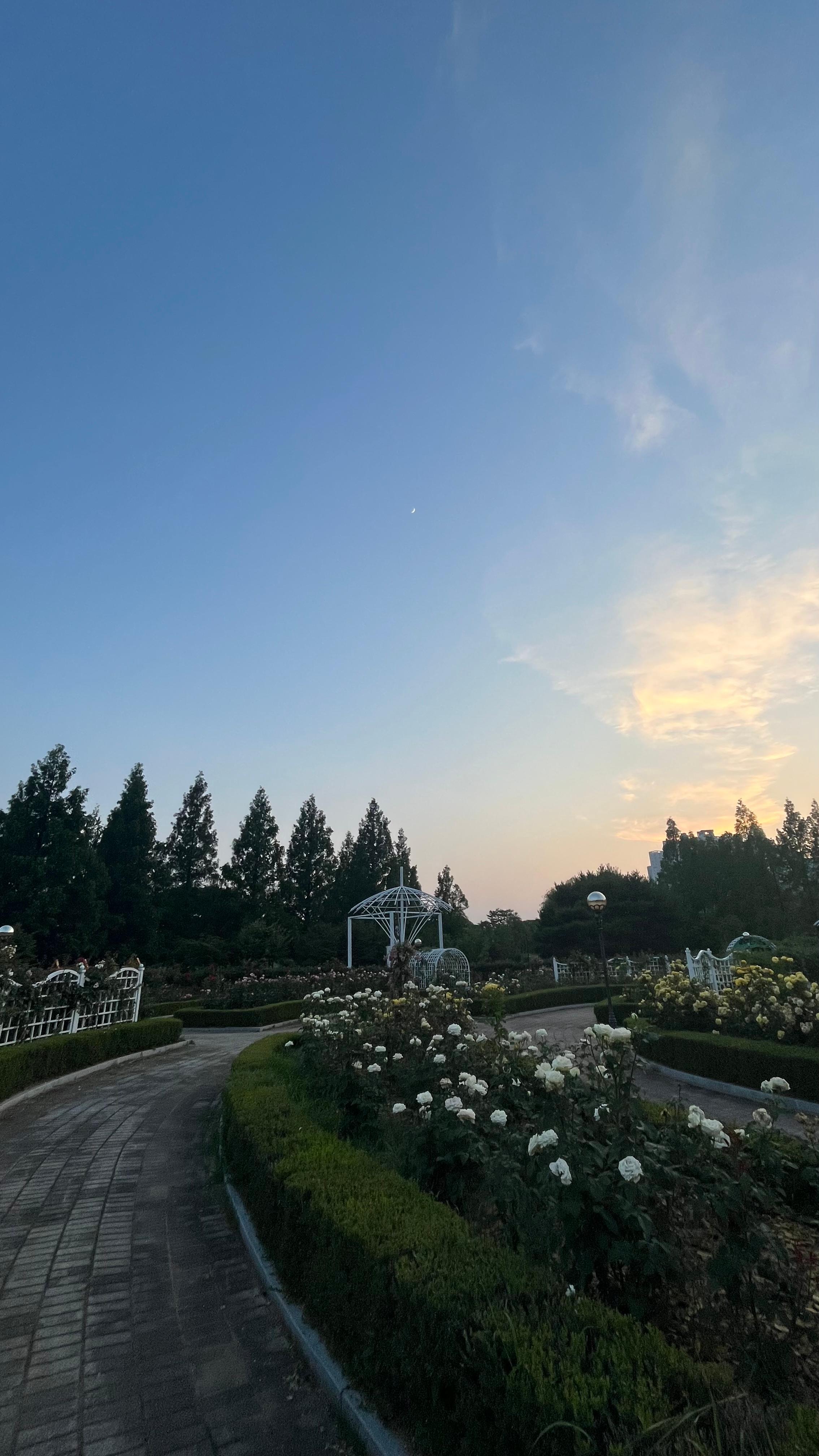 성사동 실거주자 사진 1