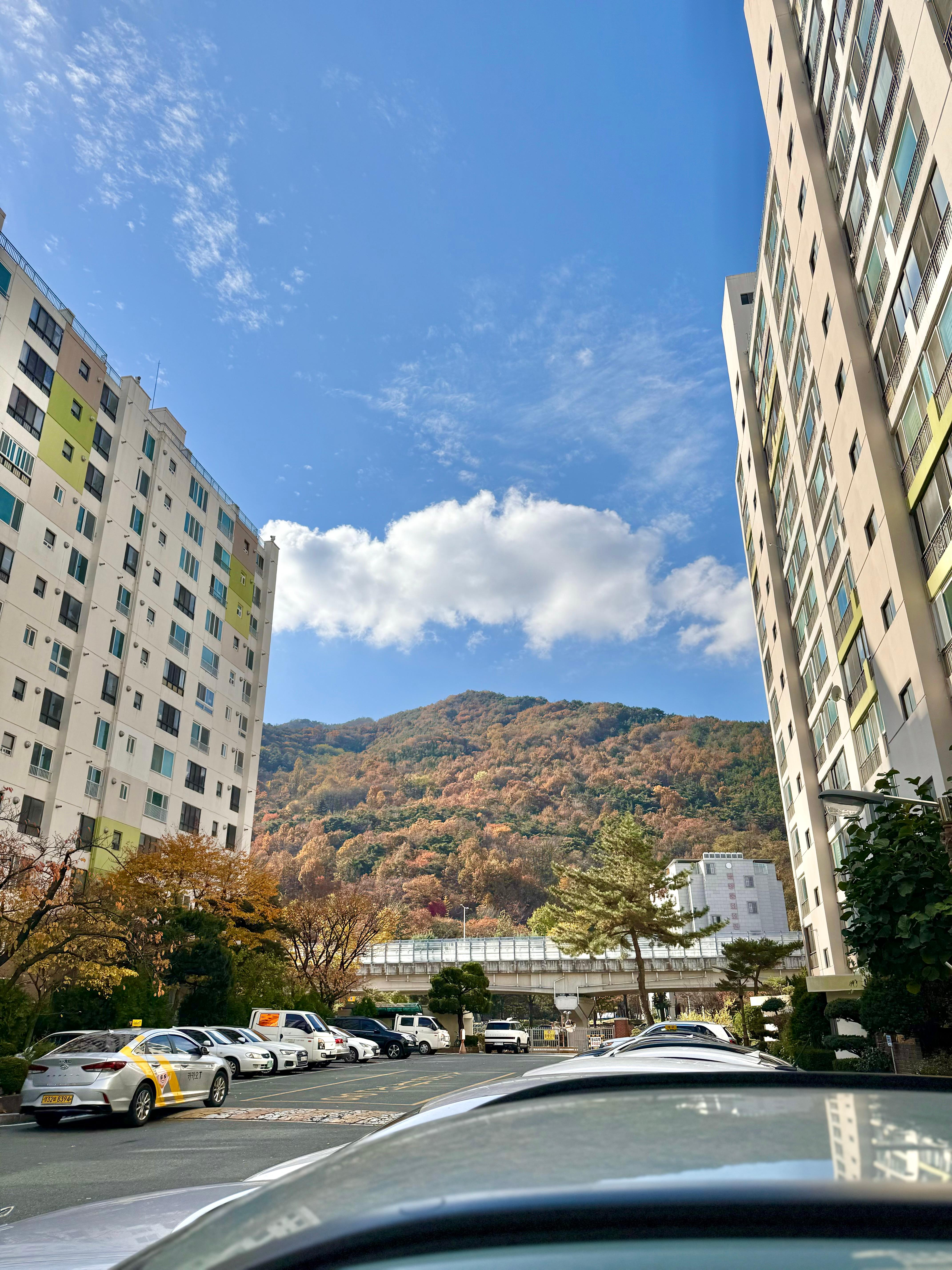 파동 실거주자 사진 8