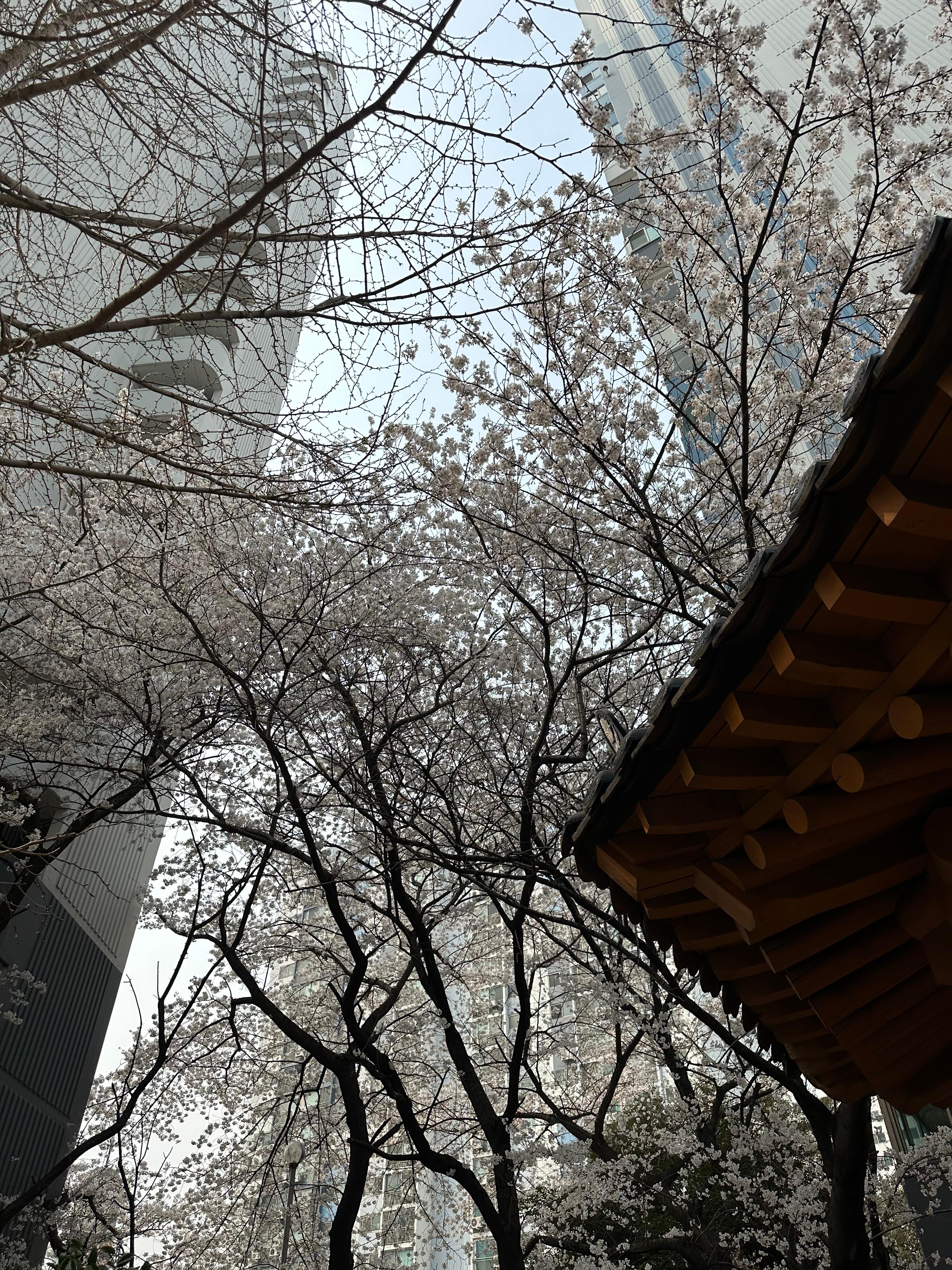 운남동 실거주자 사진 3