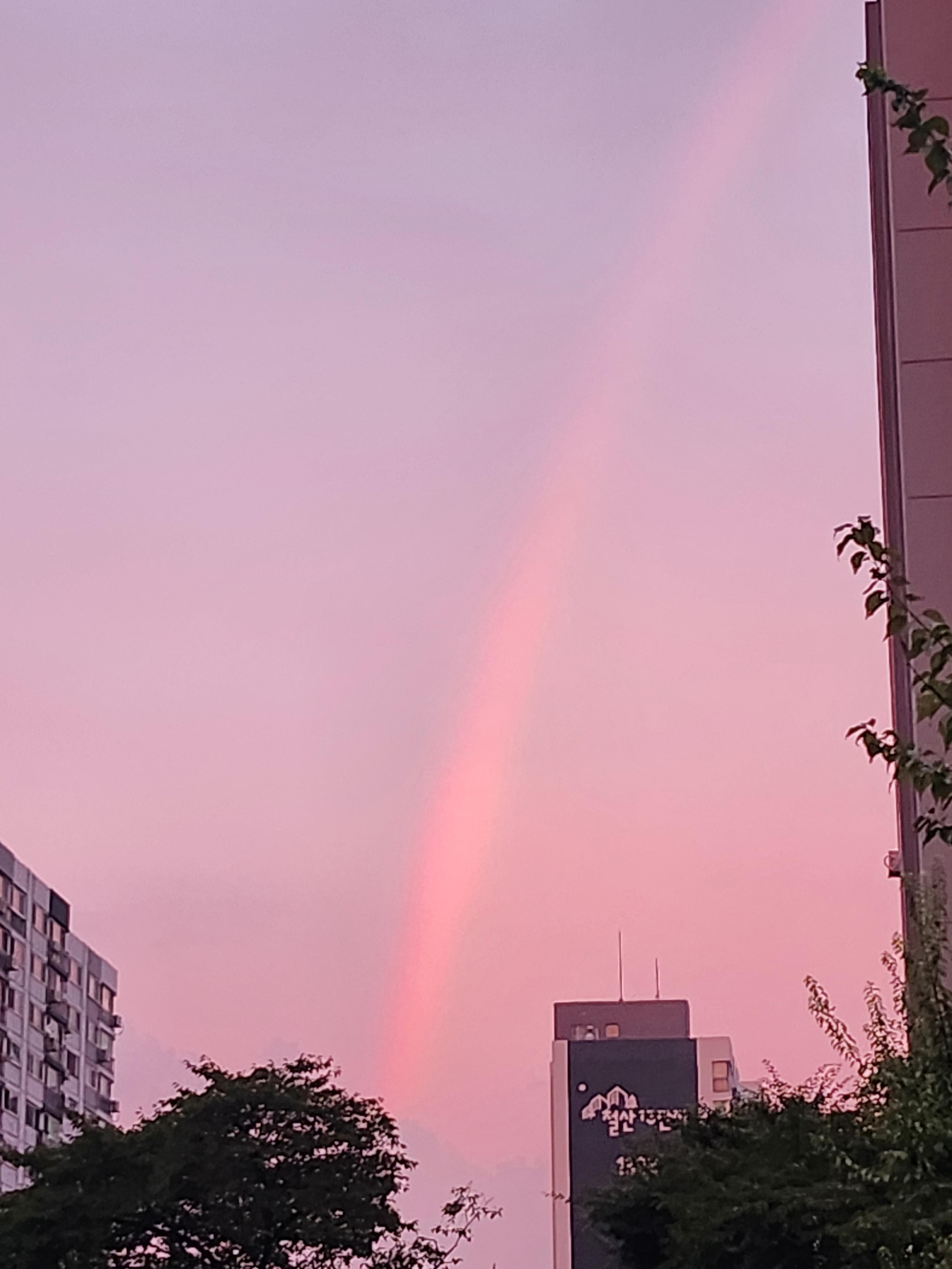 광명동 실거주자 사진 2