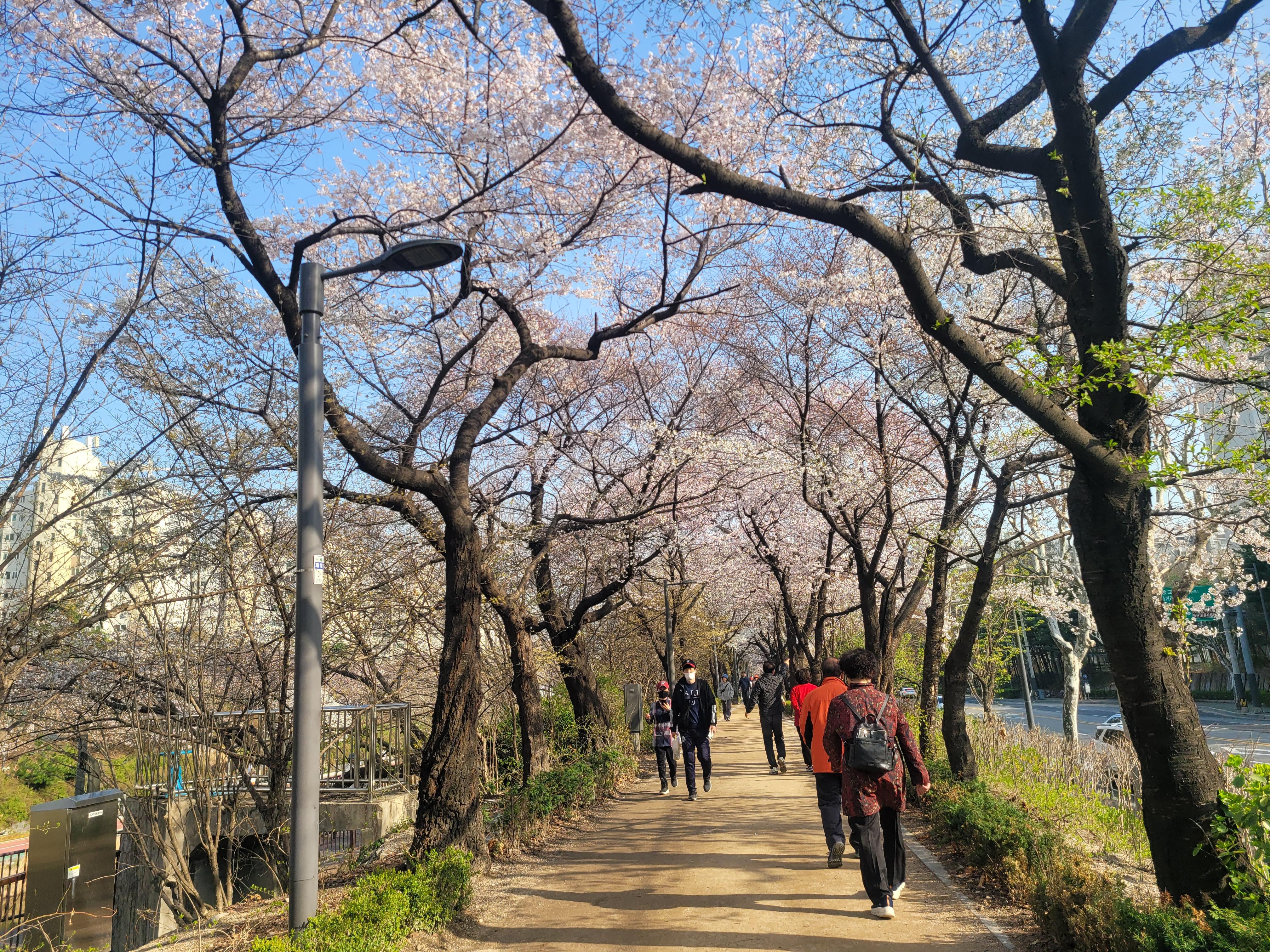 창동 실거주자 사진 7