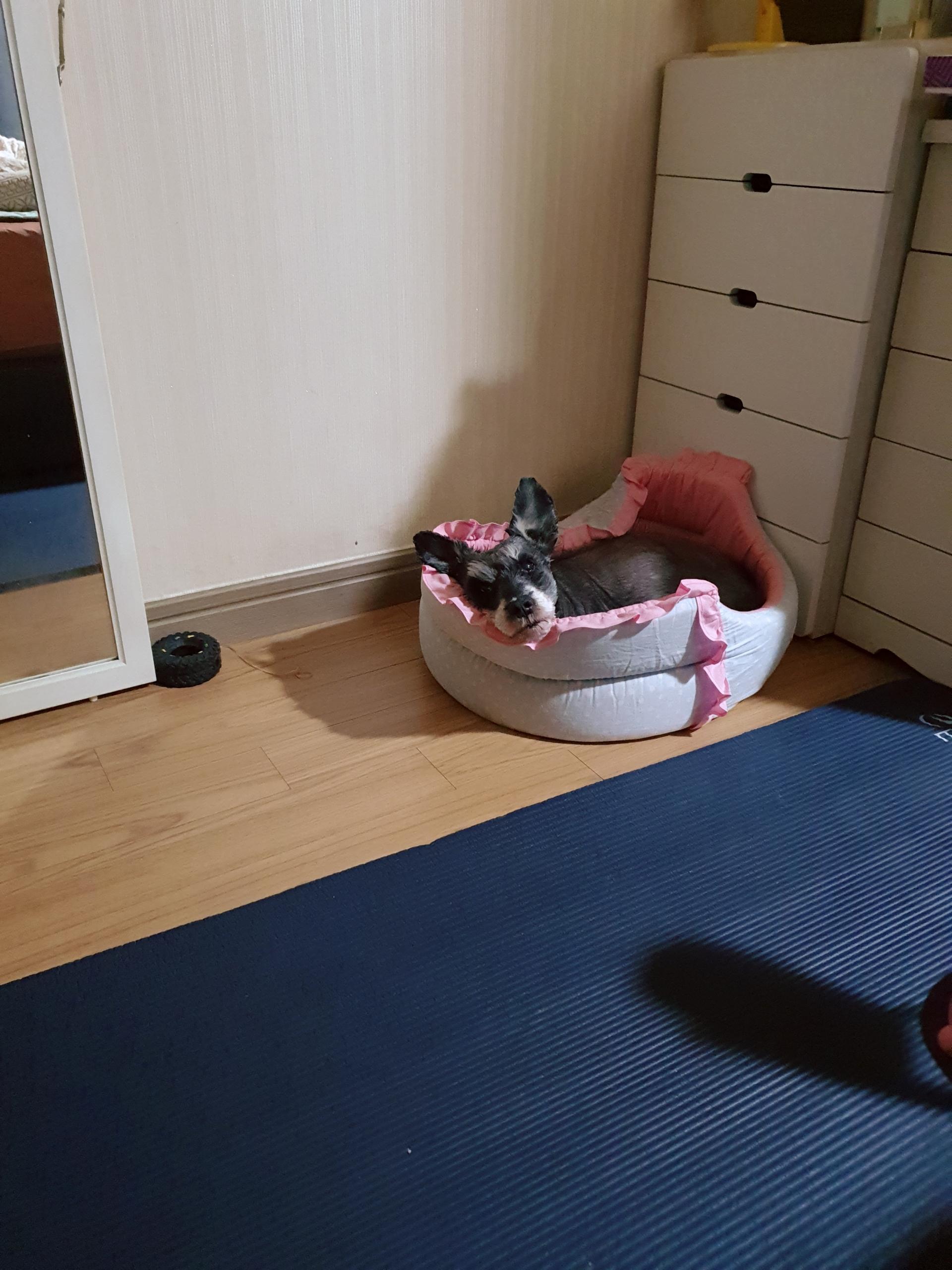 평산동 실거주자 사진 6