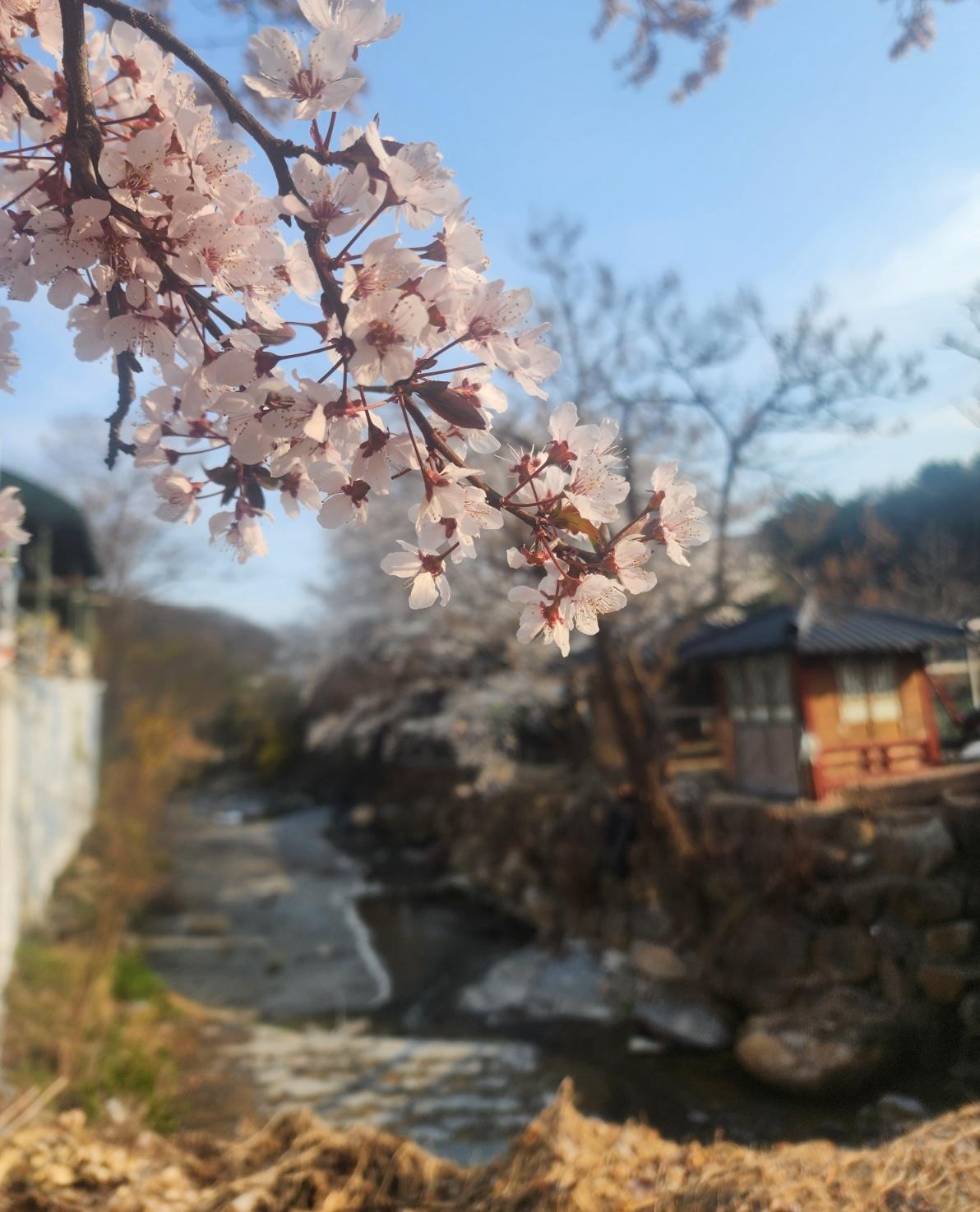 지축동 실거주자 사진 2