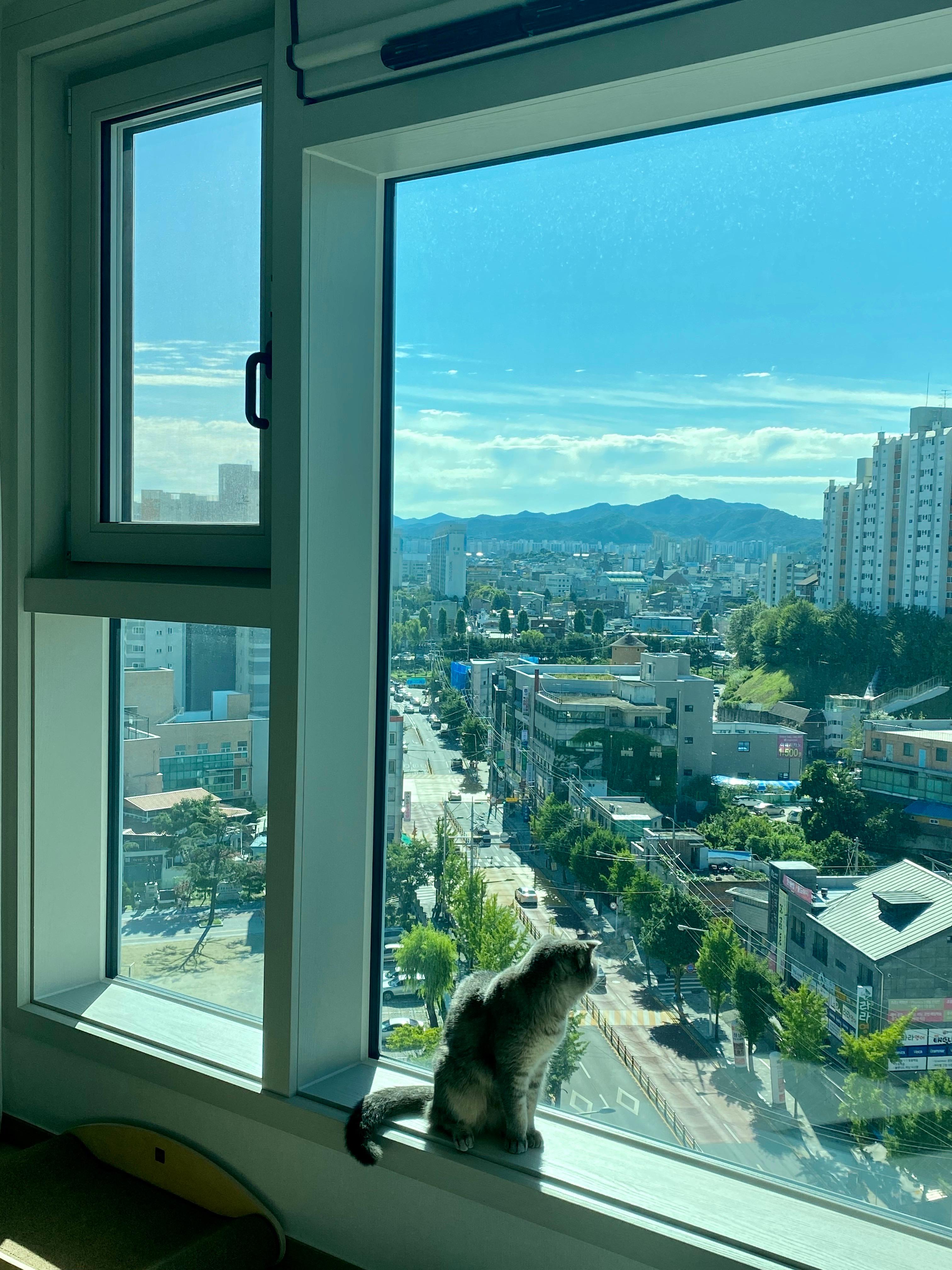 서신동 실거주자 사진 5